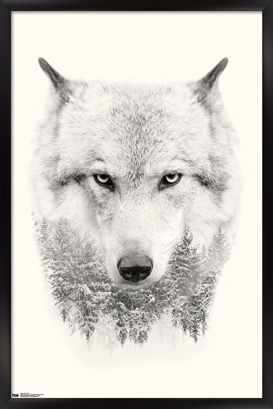 Trends International Wolf - Trees Wall Poster, 14.725'' X 22.375'', Black Framed Version