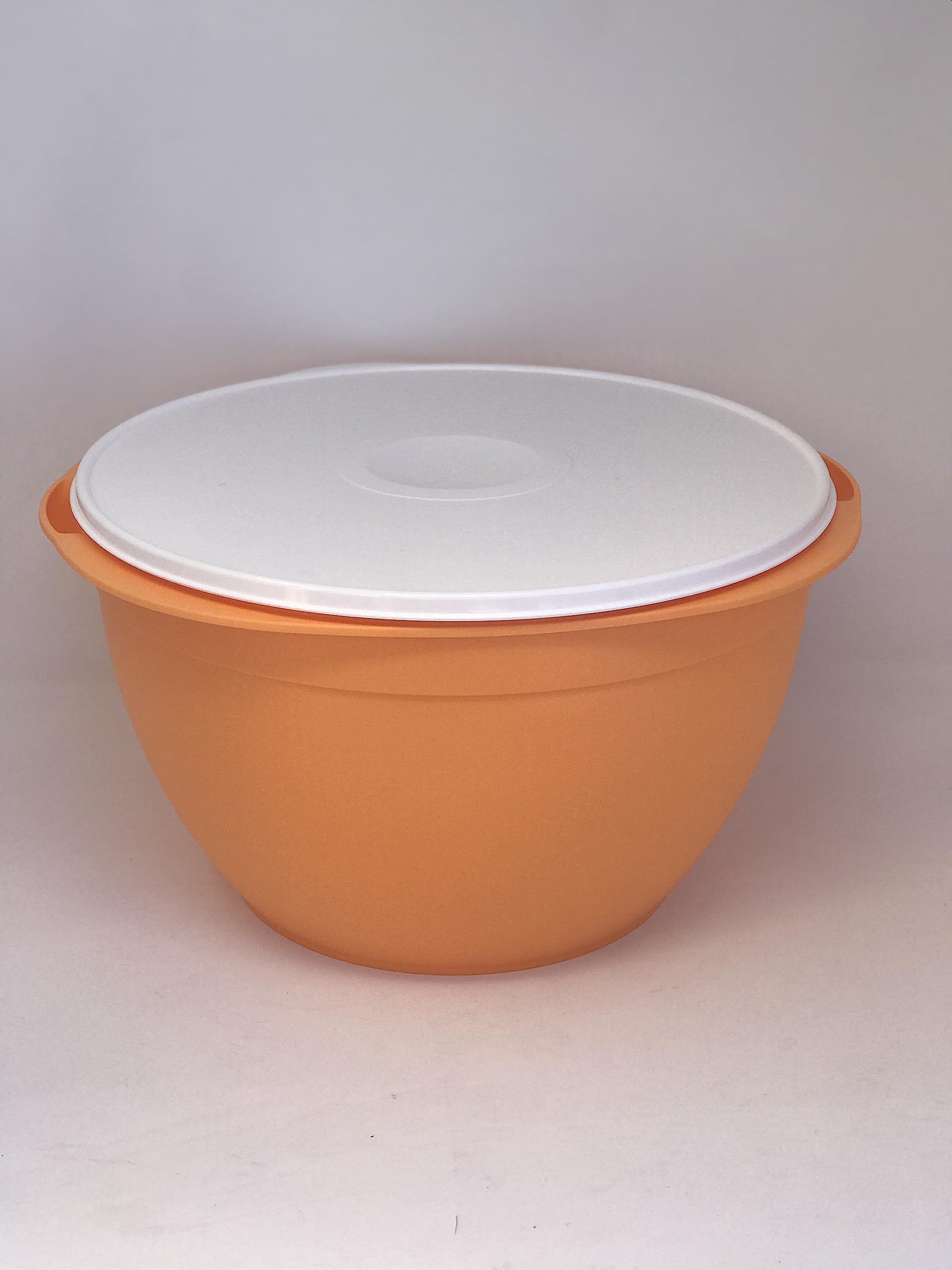Ymr Maxi Jumbo Mega Mixing Salad Bowl With While Color Seal - 42 Cups