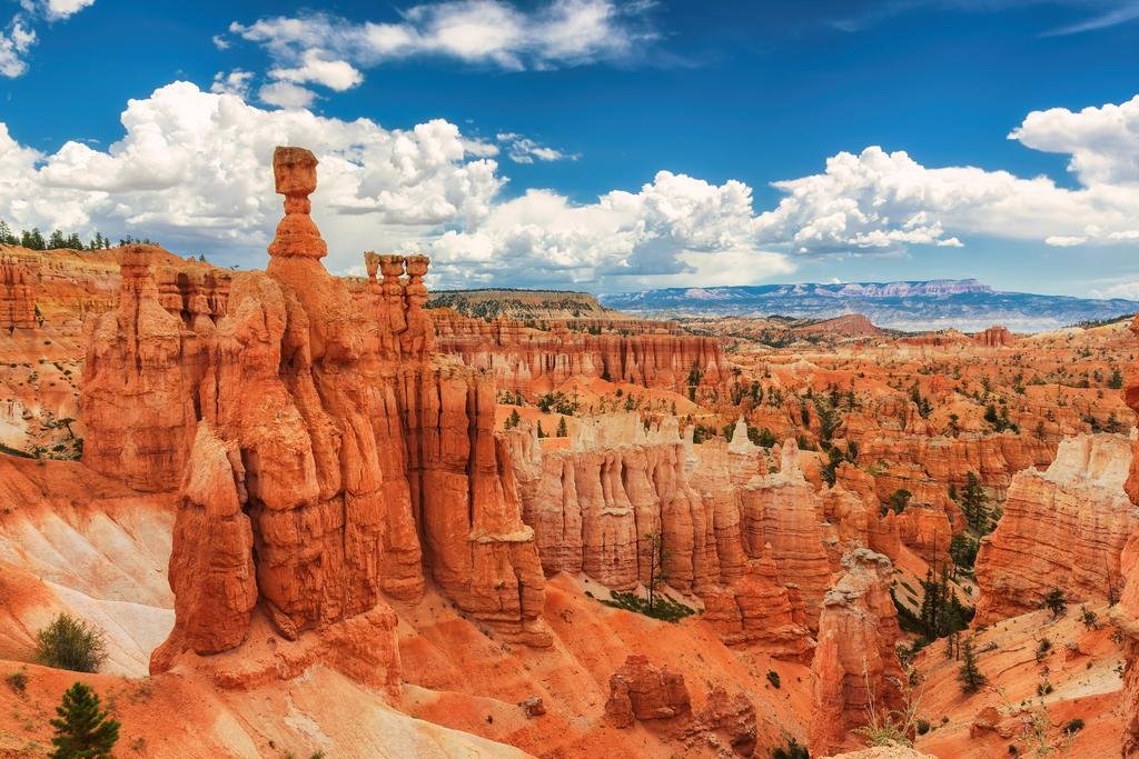 Laminated Incredible Bryce Canyon National Park Utah Photo Photograph Poster Dry Erase Wall Art 18X12