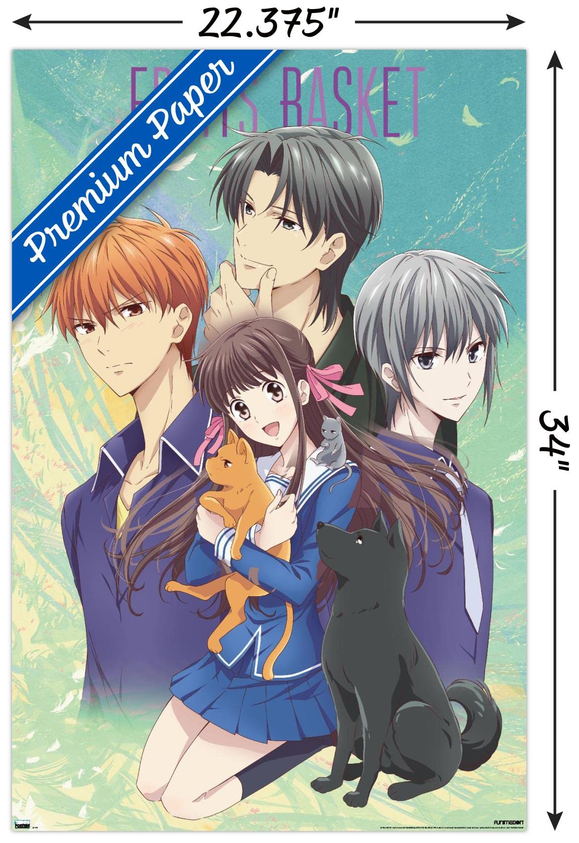 Trends International Fruits Basket - Art Work Wall Poster, 22.375'' X 34'', Premium Unframed Version
