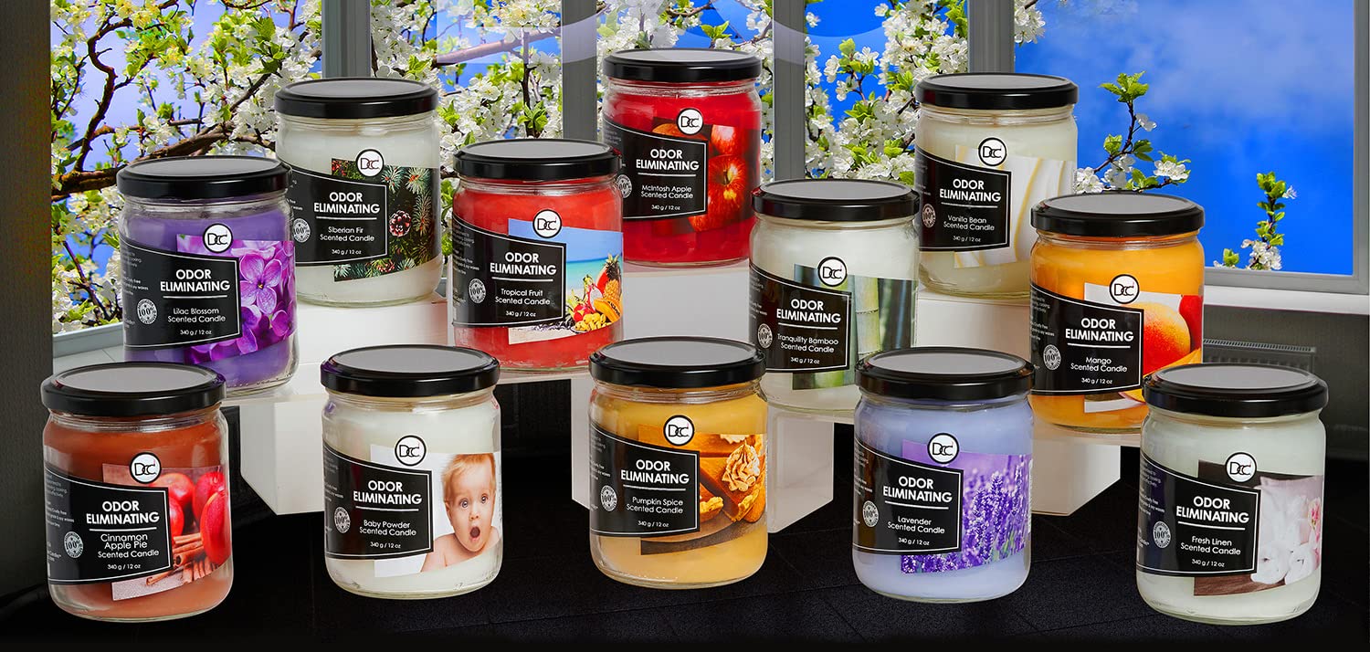 Vetiver Odor Eliminating Highly Fragranced Candle - Eliminates 95% of Pet, Smoke, Food, and Other Smells Quickly - Up to 80 Hour