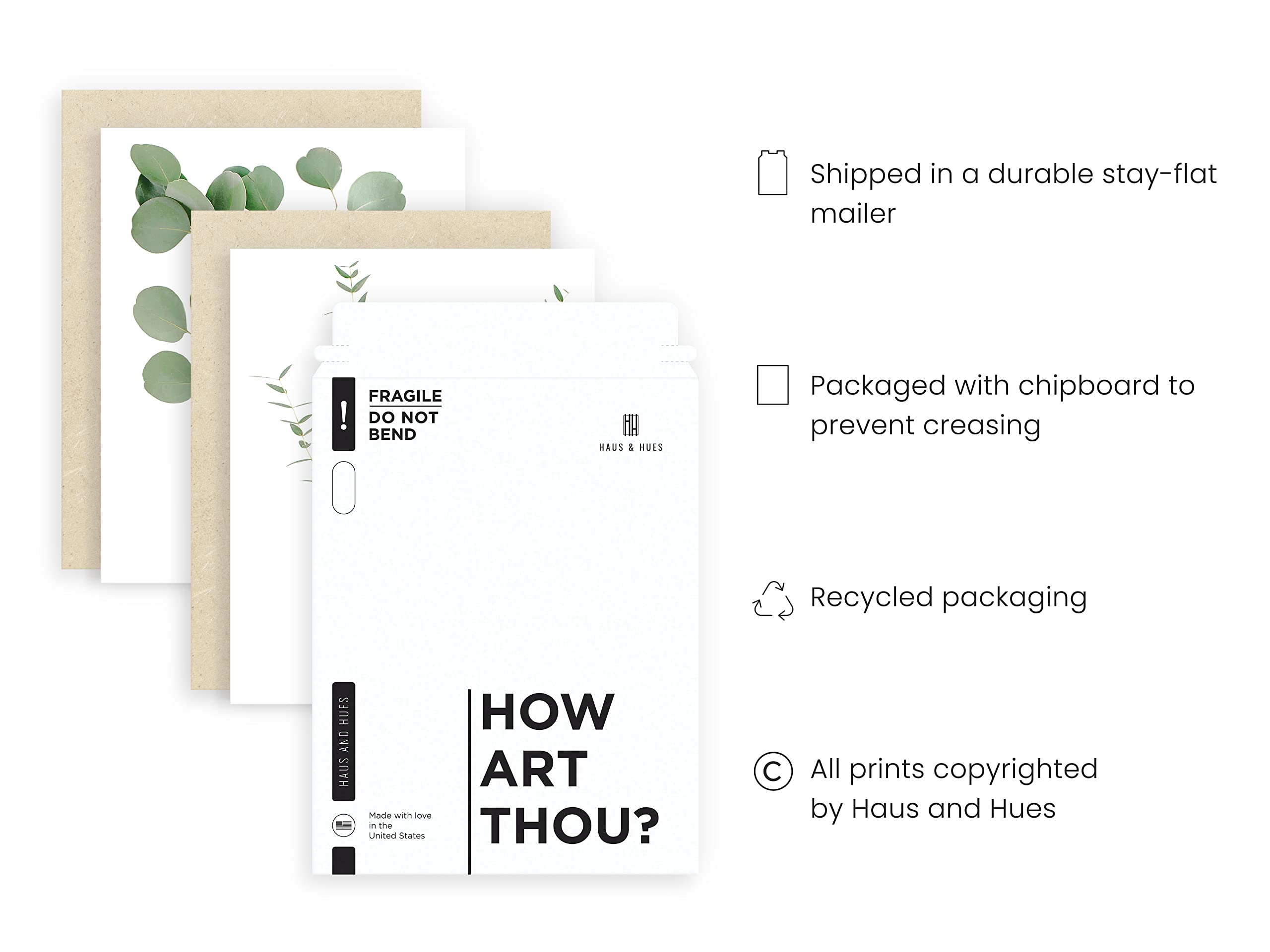 HAUS AND HUES Botanical Plant Wall Art Prints - Set of 4 Plant Wall Decor Prints Floral Kitchen Flower Leaves Wall Art Boho Leaf Eucalyptus (11x14  UNFRAMED)