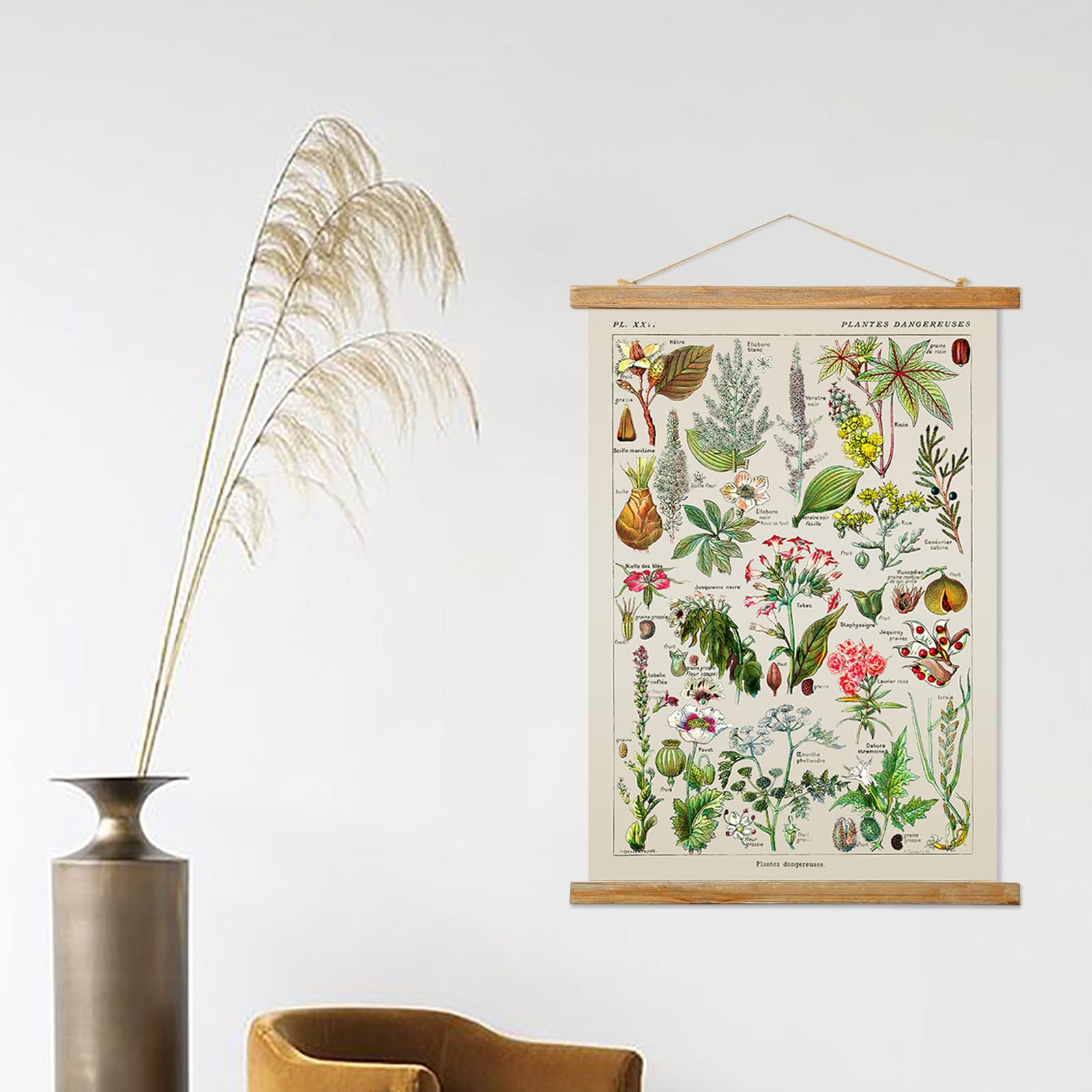 Ovfovy Vintage Botany Poster With Wooden Frame, Retro Botanical Educational Art Chart - Cute Style Wall Hanging For Home Classro
