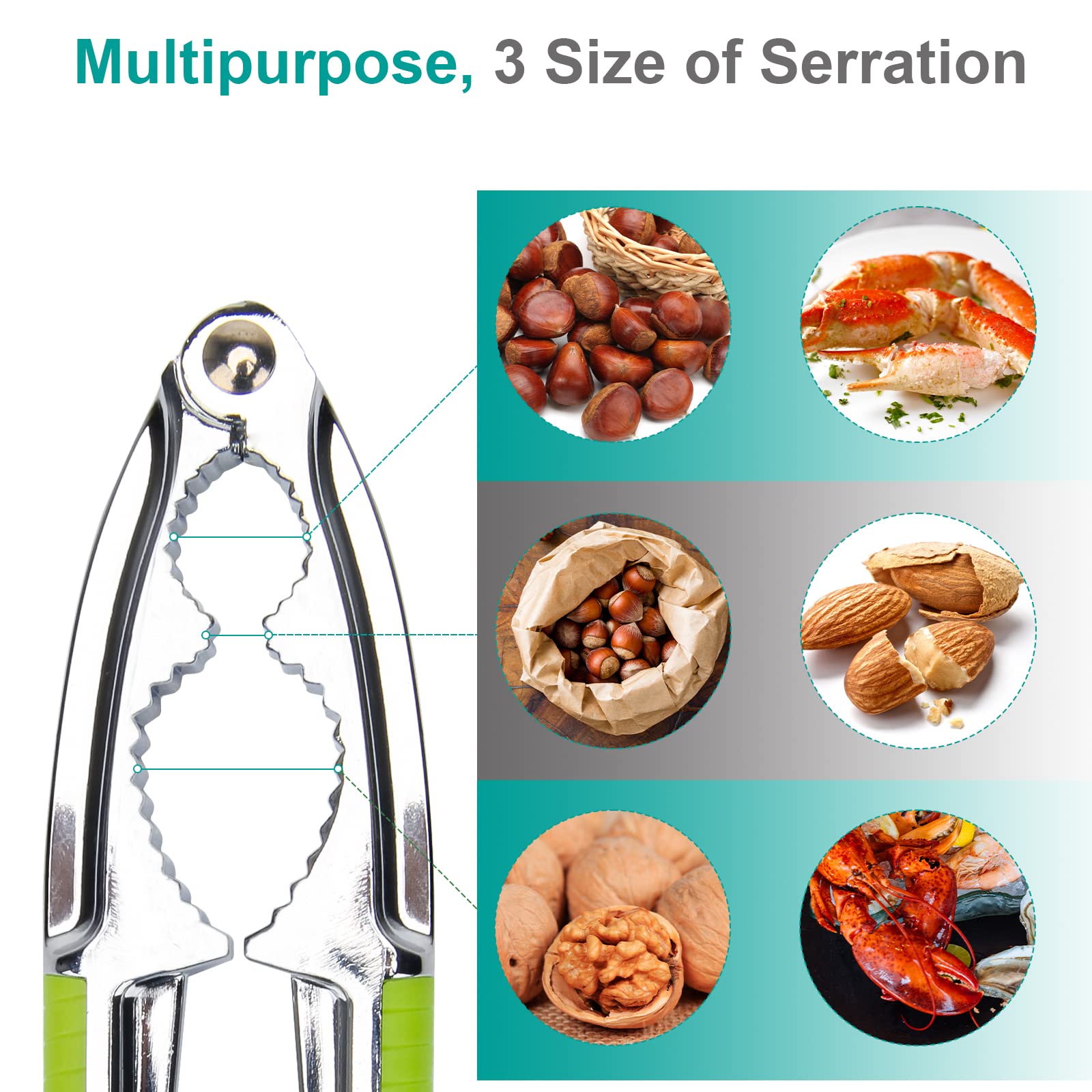 Anglekai Nut Crackers, 8Pcs Multi-Purpose Cracker Tools - Stainless Steel Seafood Pecan Crackers Forks, Non-Slip Handle Walnut C