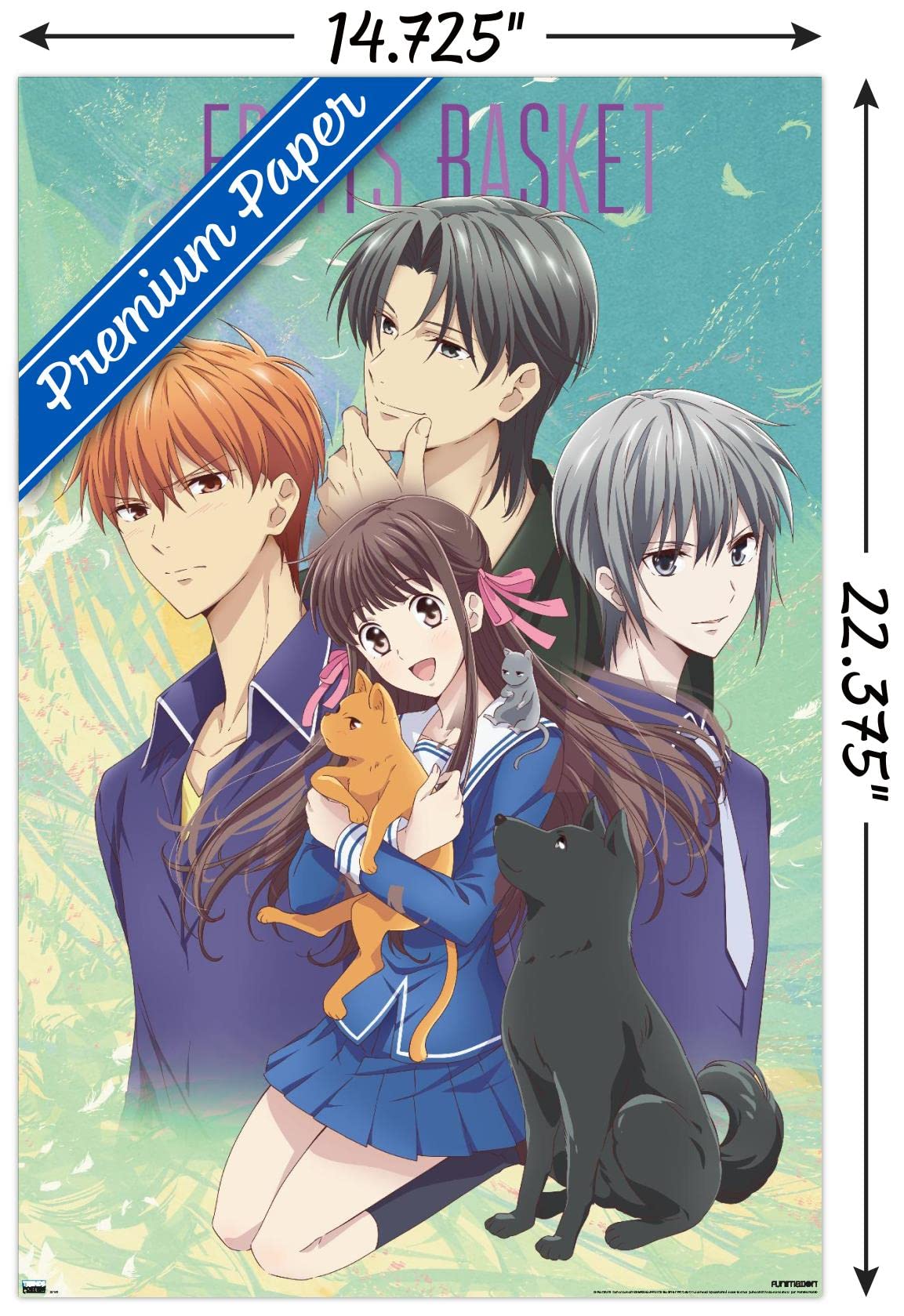 Trends International Fruits Basket - Art Work Wall Poster, 14.725'' X 22.375'', Premium Unframed Version