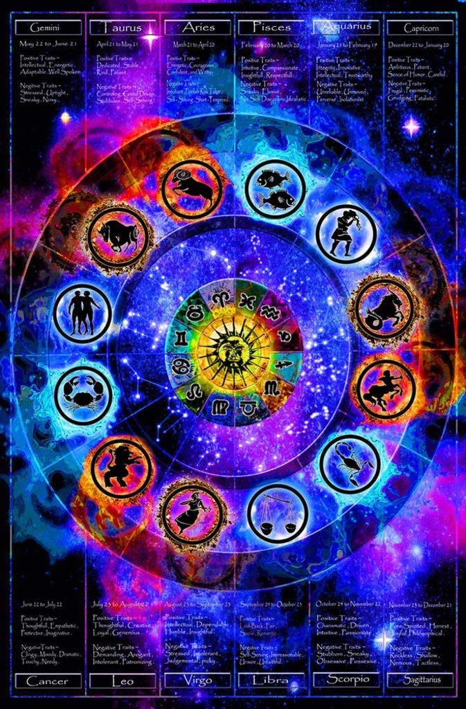 Studio B Zodiac Chart Nonflocked Blacklight Cool Wall Decor Art Print Poster 24X36