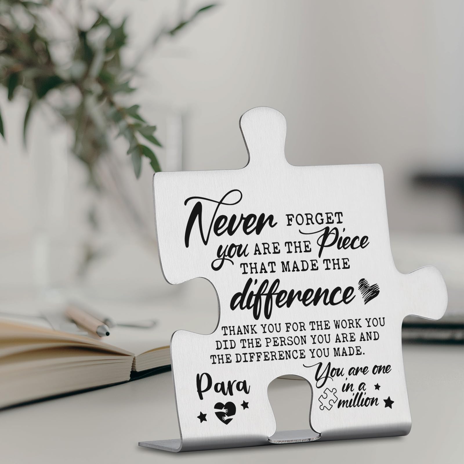 Para Appreciation Gift, Thank You Gift for Paraprofessional Week Birthday Christmas Team Office Ornament Decor Stainless Steel P