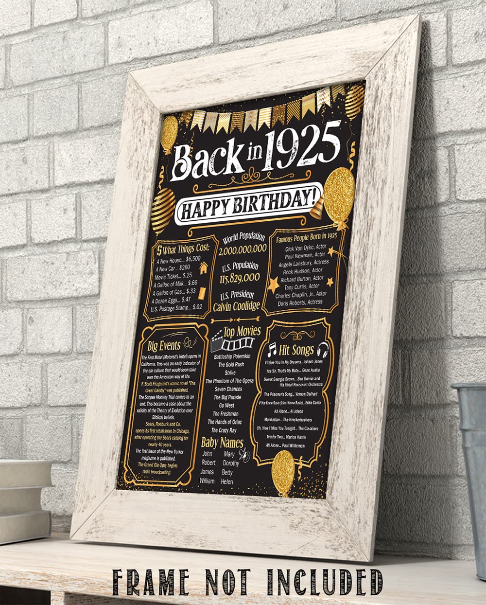 100th Birthday Party Decorations for 100th Birthday (One-hundred) - Remembering The Year 1925 Poster - Gifts for Men and Women T