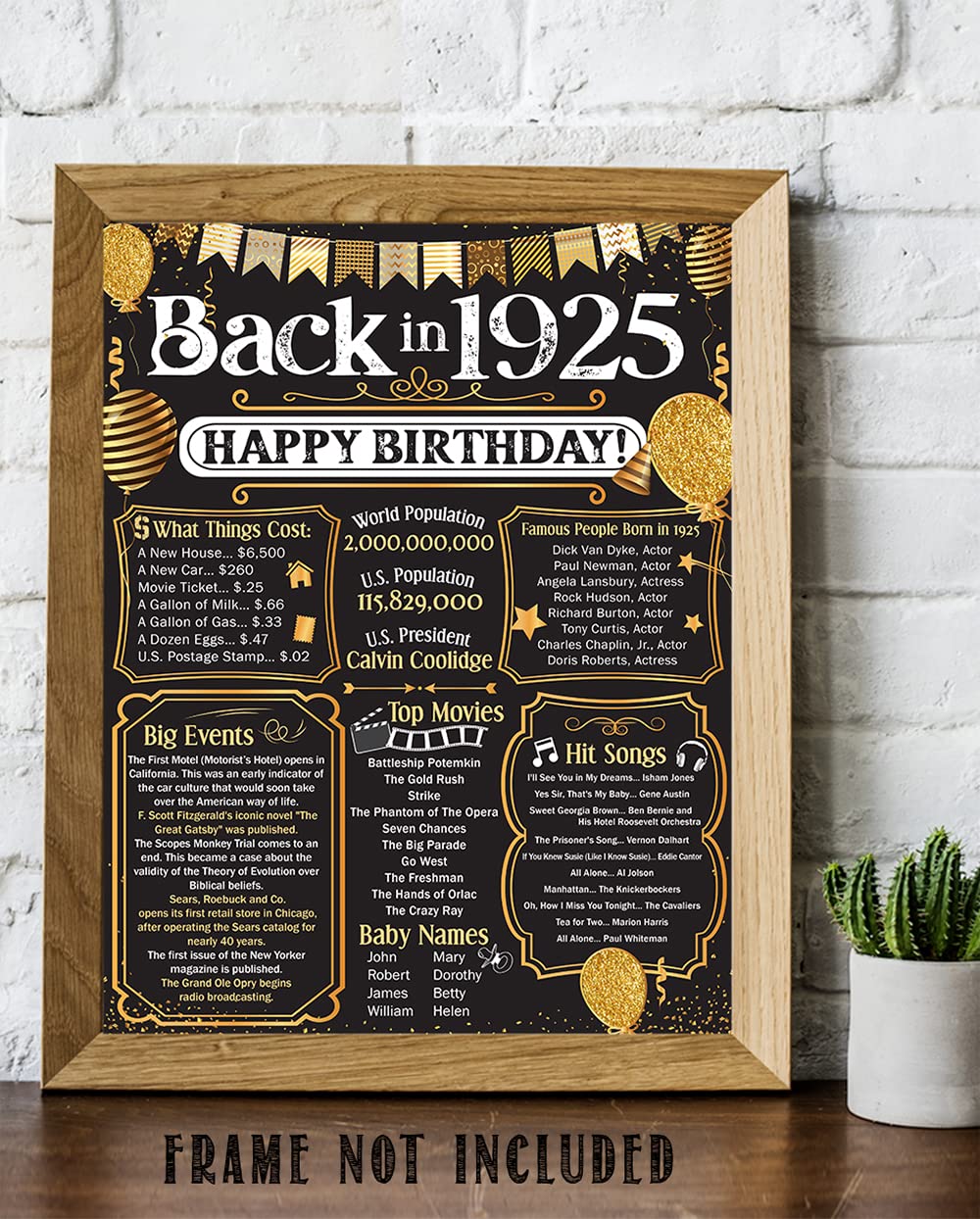 100th Birthday Party Decorations for 100th Birthday (One-hundred) - Remembering The Year 1925 Poster - Gifts for Men and Women T