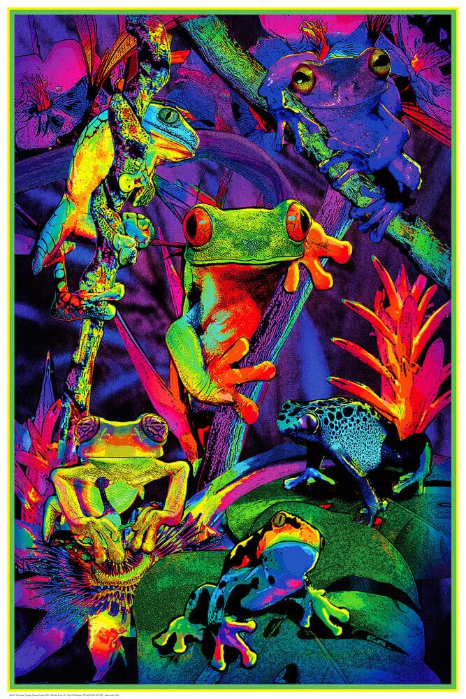 Studio B Tree Frogs - Non-Flocked Blacklight Poster - Laminated - 24.5'' X 36.5''
