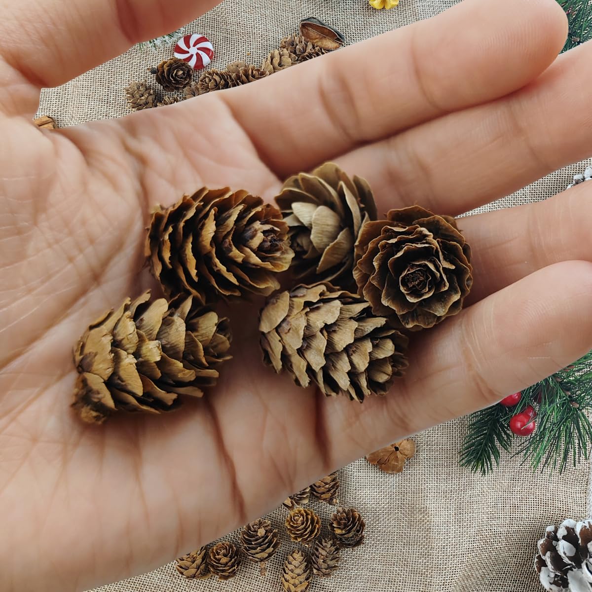 TIHOOD 160PCS 1.18-1.97 Christmas Natural Mini Pine Cones-Thanksgiving Pine Cones Ornaments for DIY Crafts, Home Decorations,Fal