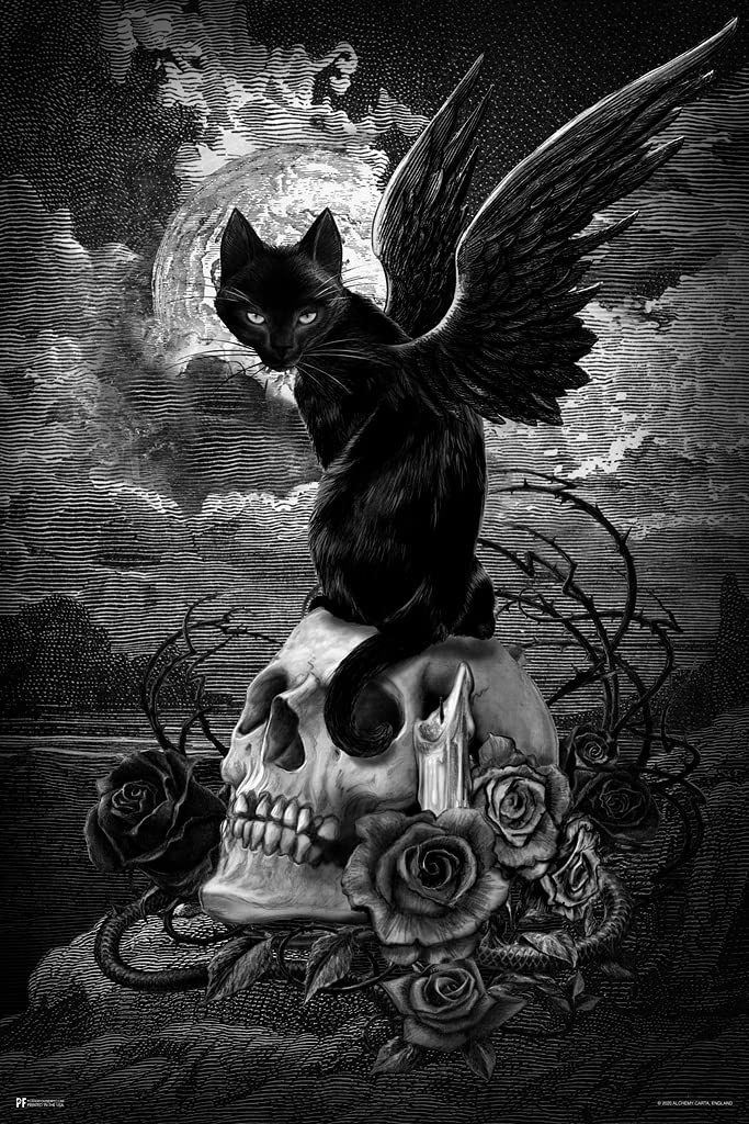 Alchemy Nine Lives Of Poe Winged Black Cat On Skull Edgar Allen Poe Witchy Room Decor Gothic Decor Goth Room Decor Witchcraft Ho