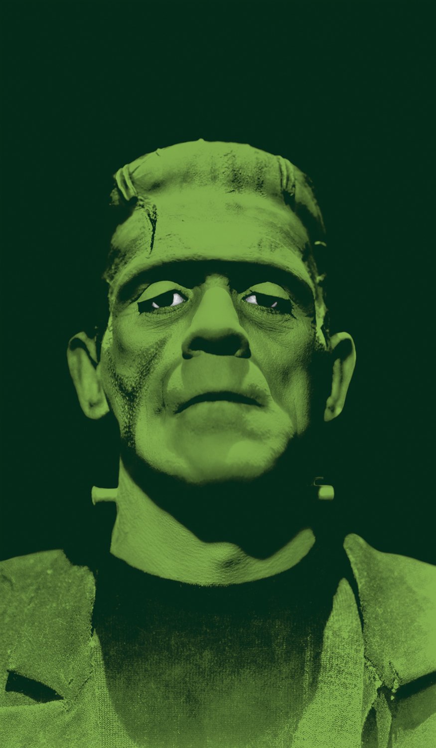 Window Poster Halloween Frankenstein by WOWindows USA-Made Decoration Includes 1 Reusable 34.5x60 Backlit Printed Poster
