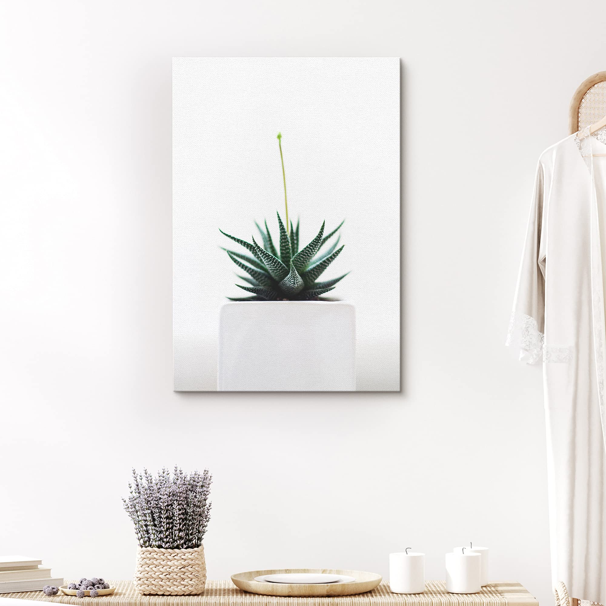 Signford Canvas Print Wall Art Green Zebra Succulent In White Vase Floral Plants Photography Realism Southwest Relax/Calm Multic