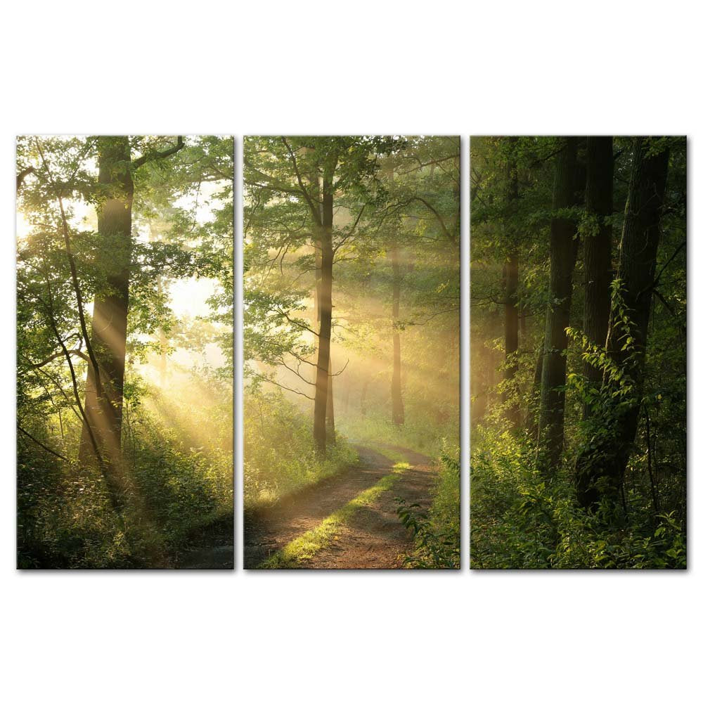 Forest Nature Wall Art Decor Sunshine Through Forest And Road Canvas Pictures Artwork 3 Panel Nuture Landscape Painting Prints F