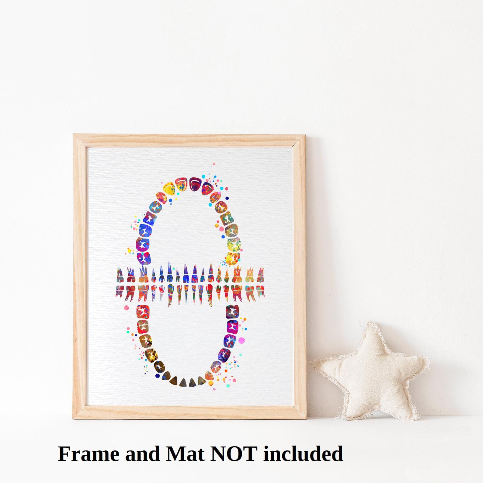 Dignovel Studios 8X10 Unframed Tooth Chart Anatomical Art Dental Clinic Dentistry Science Watercolor Art Print Poster Dn565