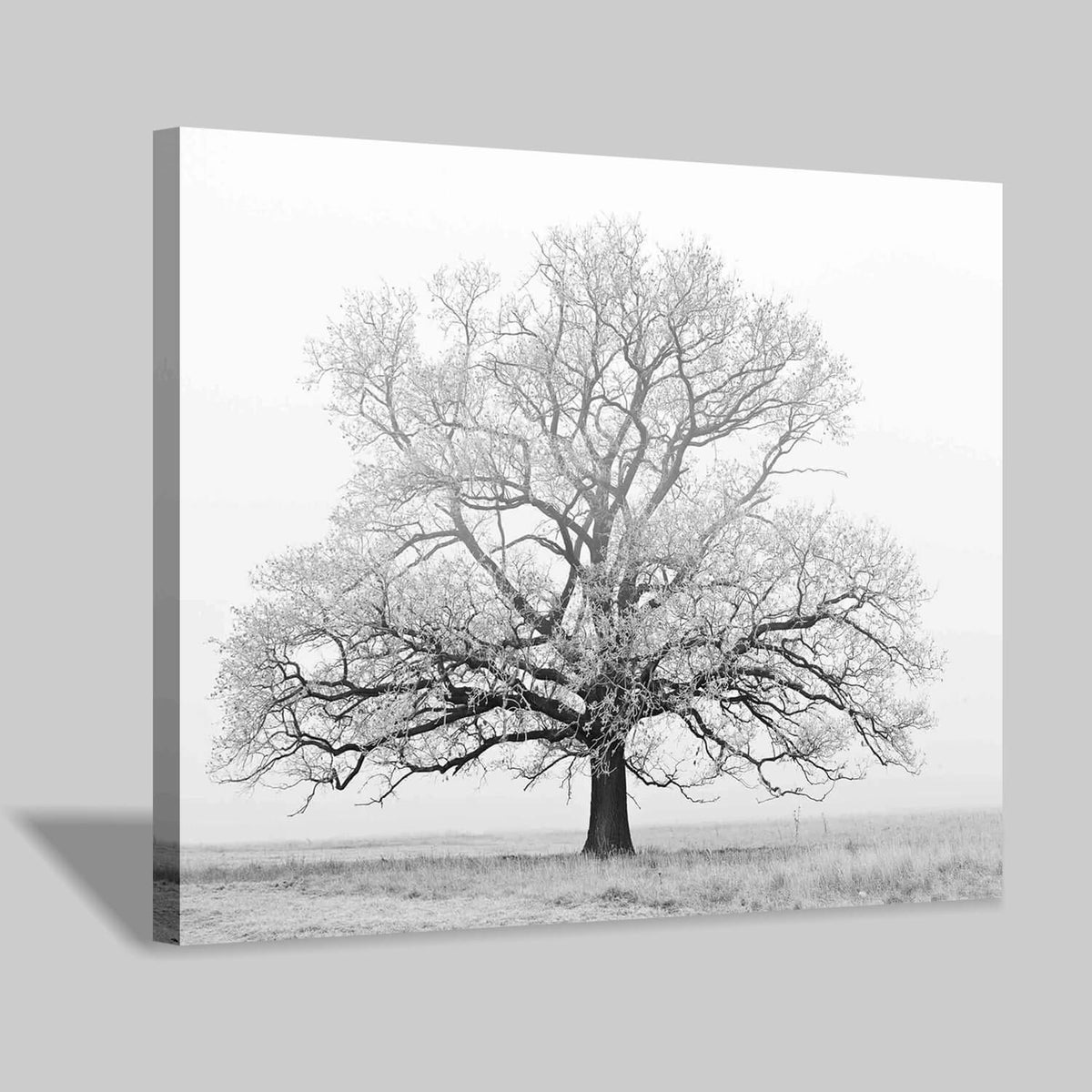 Winter Tree Canvas Wall Art: Black & White Tree Picture Print Artwork For Living Rooms Wall Decor (24'' X 18'')