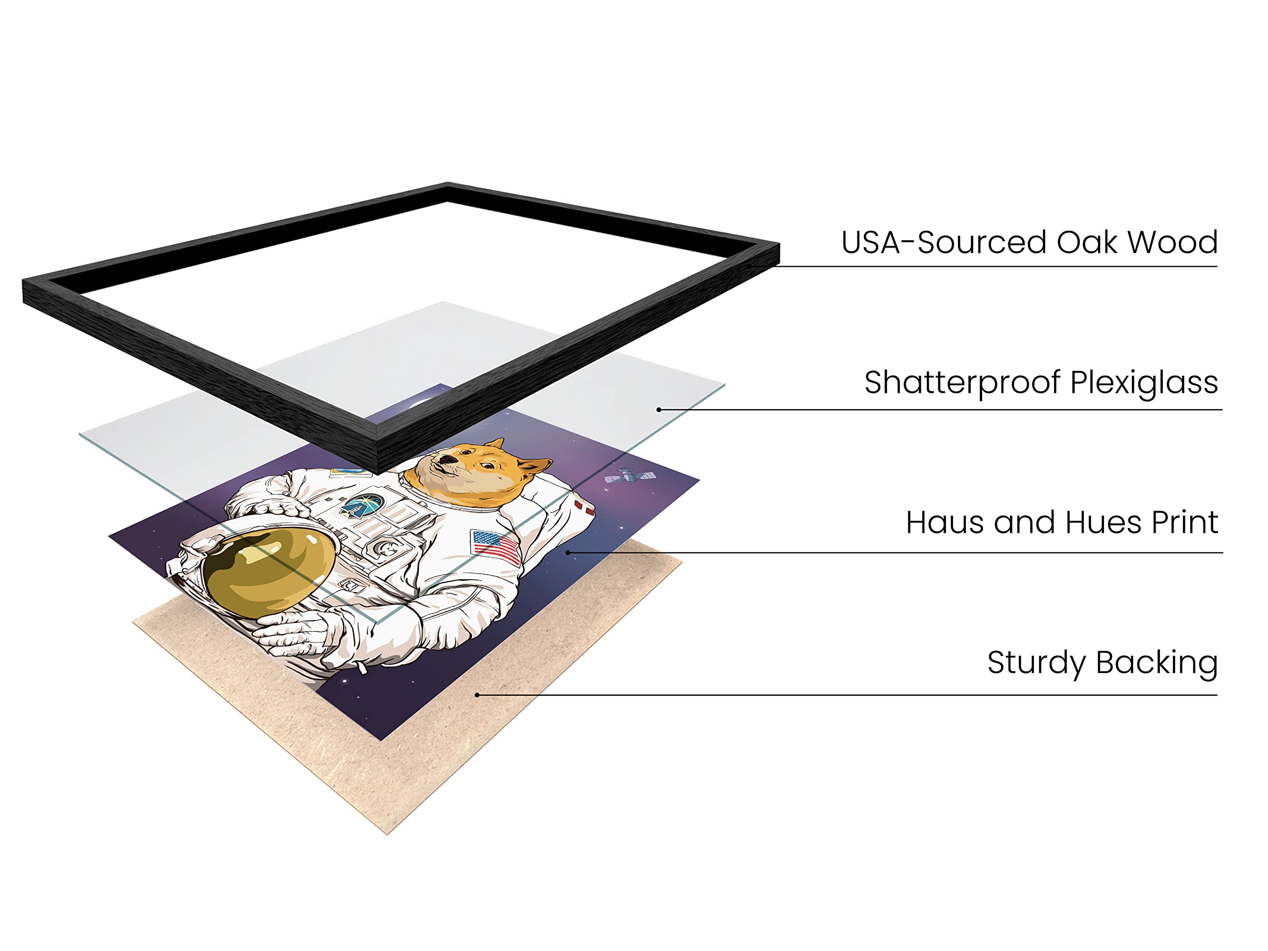 Haus And Hues Astrodoge Funny Poster Dorm Decor, Funny Doge Meme Poster For College Room Decor, Cool Posters And Funny Meme Post