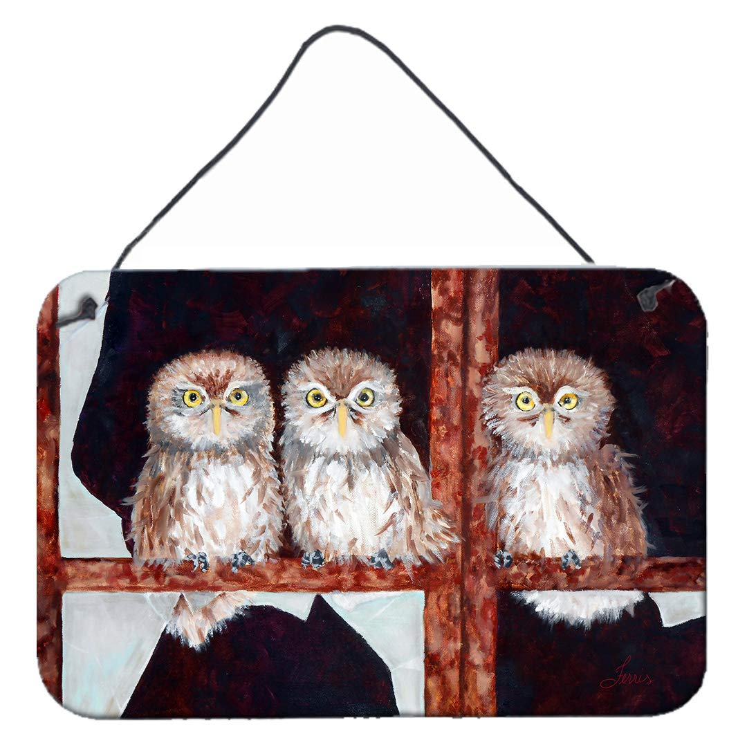 Owls by Ferris Hotard Wall or Door Hanging Prints