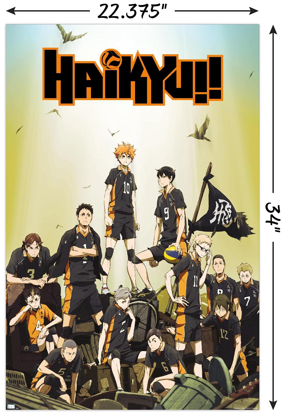 Trends International Haikyu!! - Key Art Wall Poster, 22.37'' X 34.00'', Unframed Version