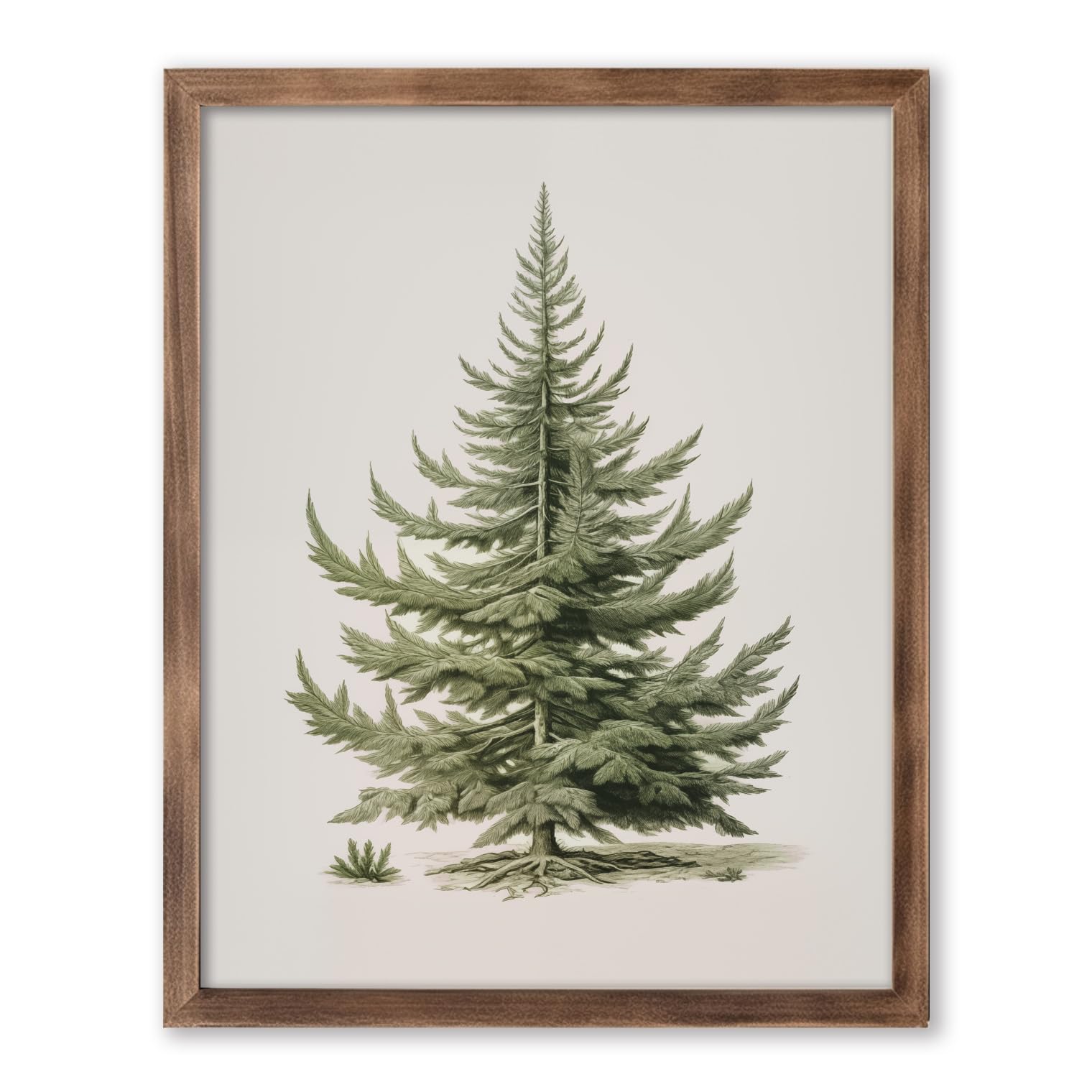 ZEARPT Christmas Tree Art Print, Vintage Fir Botanical Sketch, 11x14 inches, Pigment Inks, Unframed