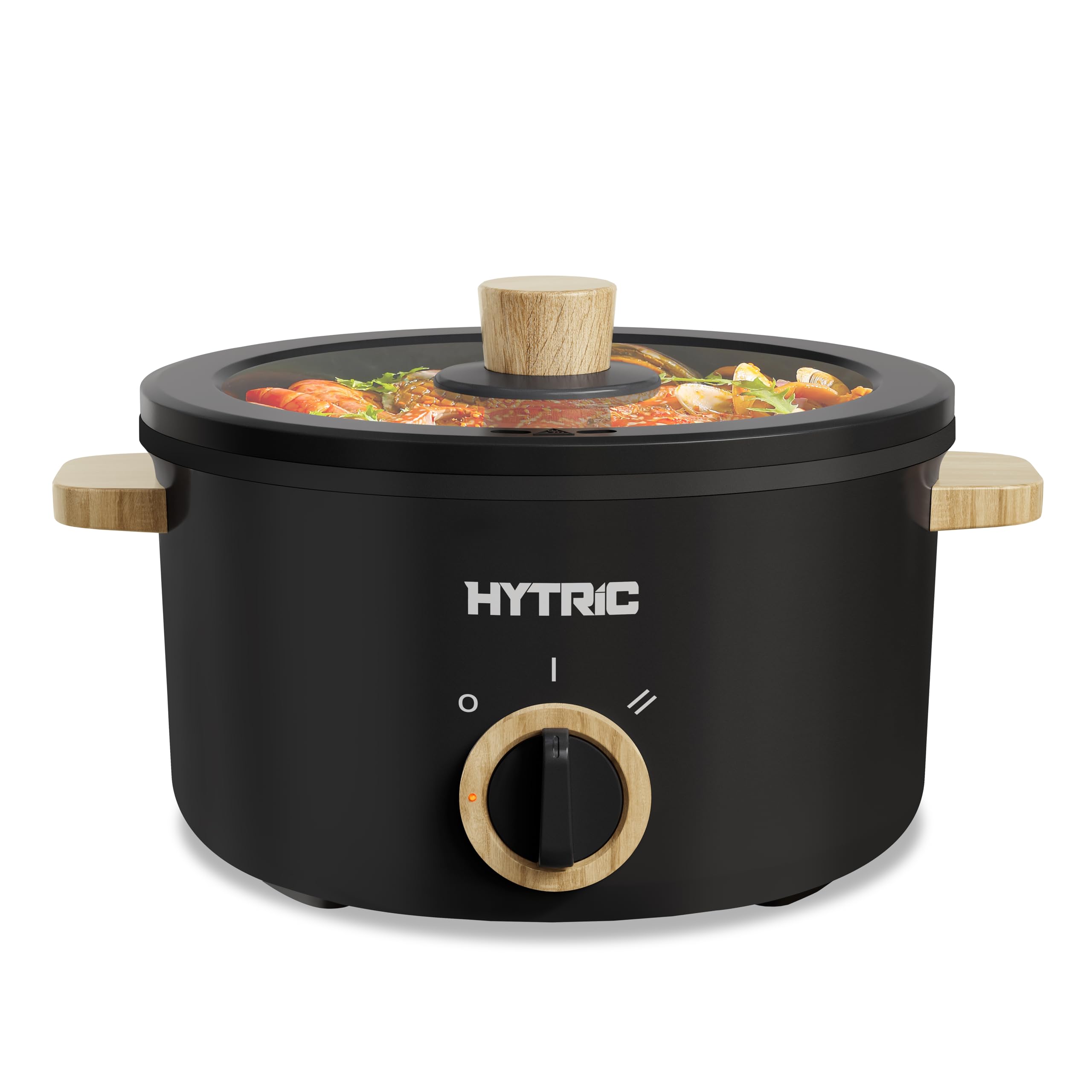 HYTRIC Electric Pot, 2.5L Portable Electric Hot Pot with Dual Power, Black
