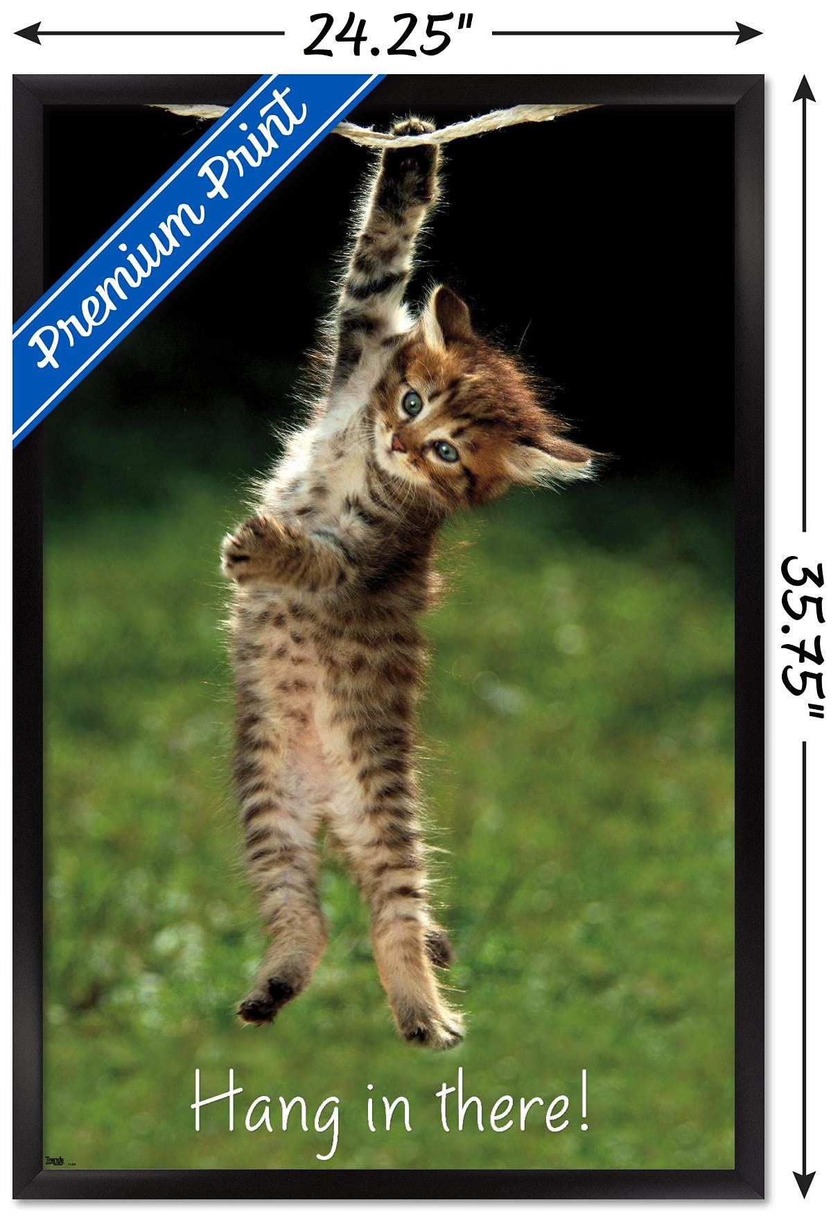 Trends International Kitten Hang In There Wall Poster 22.375'' X 34''