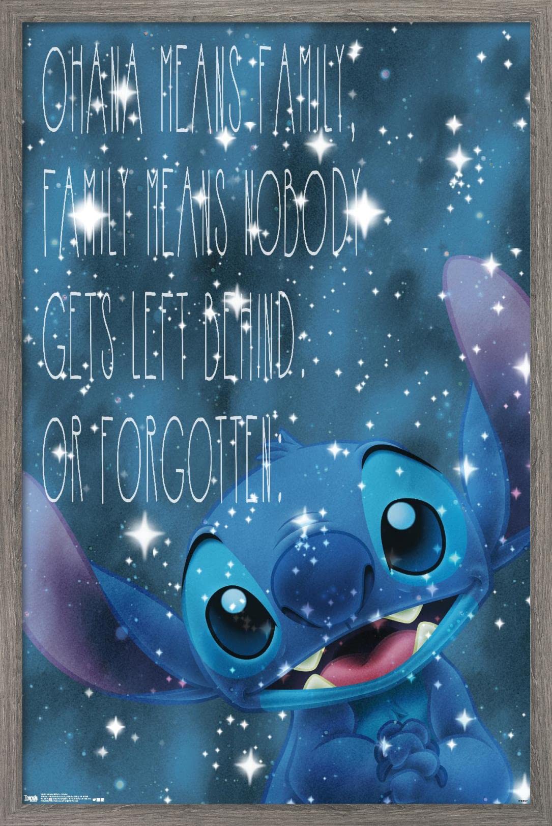 Trends International Disney Lilo And Stitch - Ohana Wall Poster, 14.725'' X 22.375'', Barnwood Framed Version