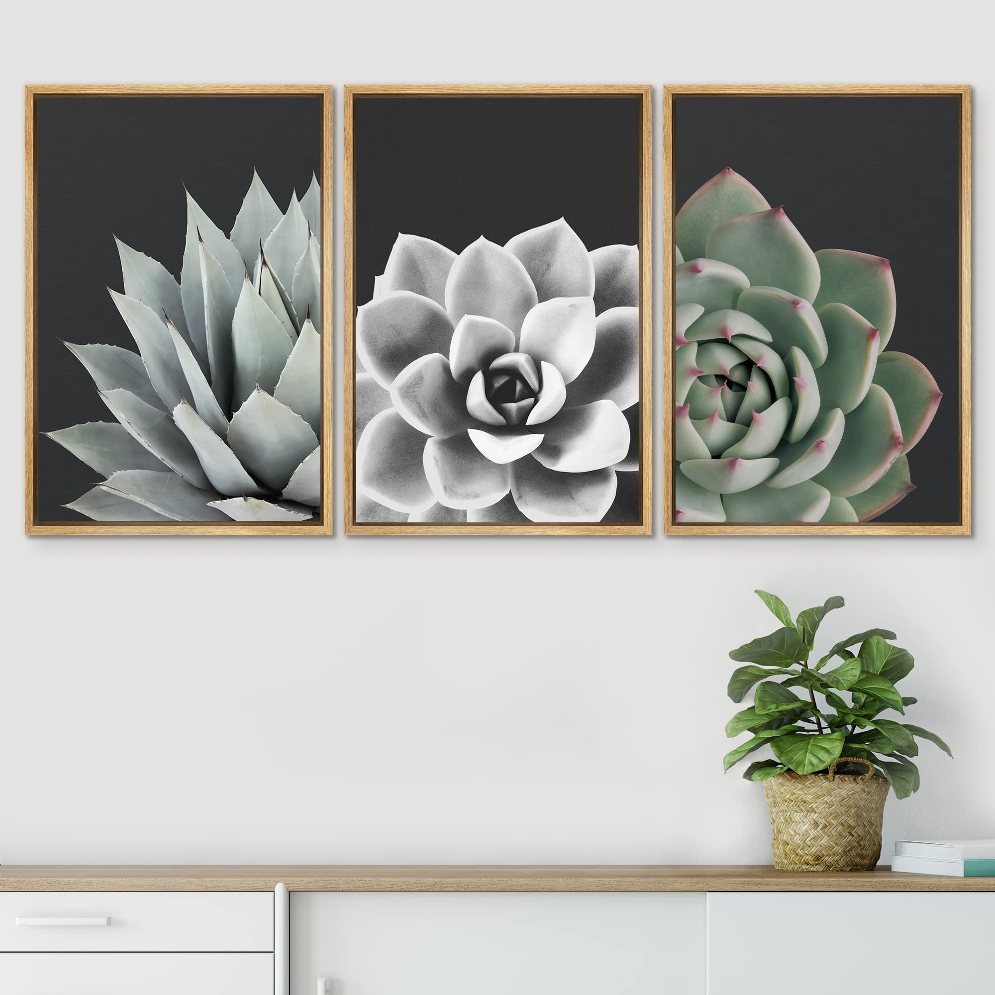 Signwin Framed Wall Art Print Set Desert Rose Echeveria Succulent Set Nature Plants Photography Modern Art Closeup Relax/Calm Da