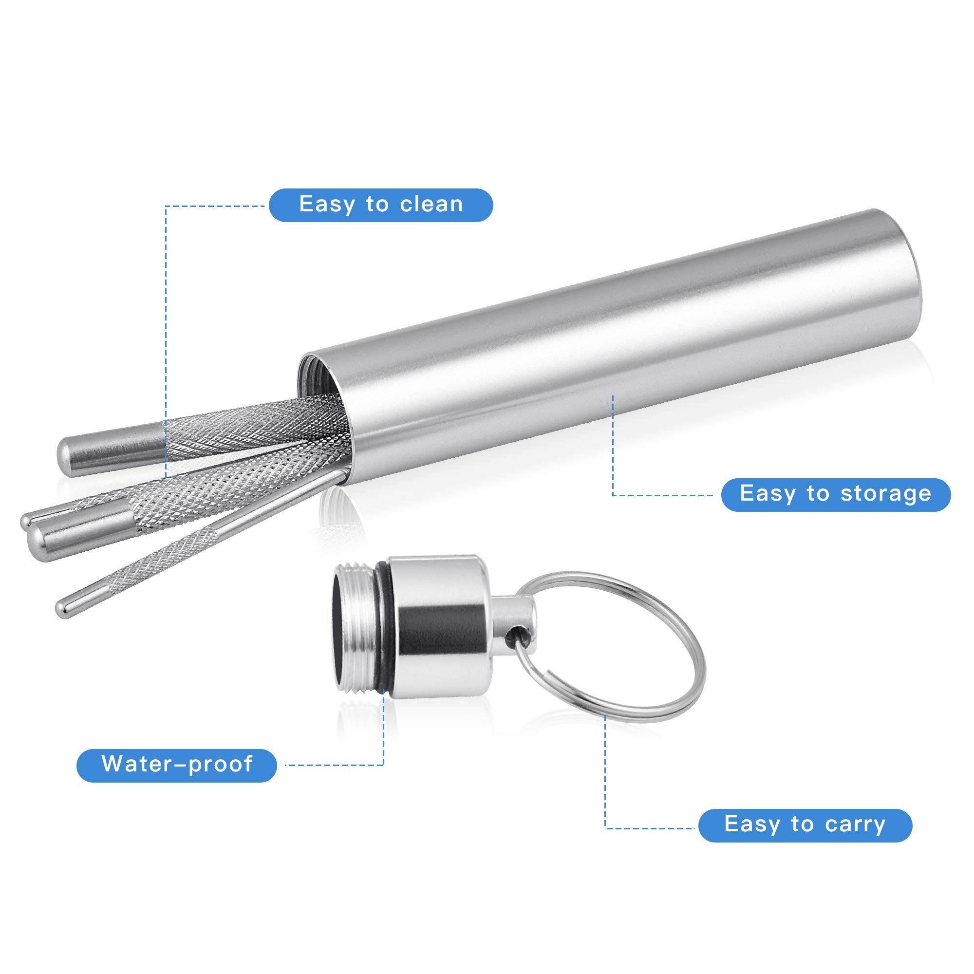 Worldity 5Pcs Reusable Toothpick, Portable Metal Toothpick, Professional Teeth Cleaning Tools, Dental Picks With Toothpick Holde