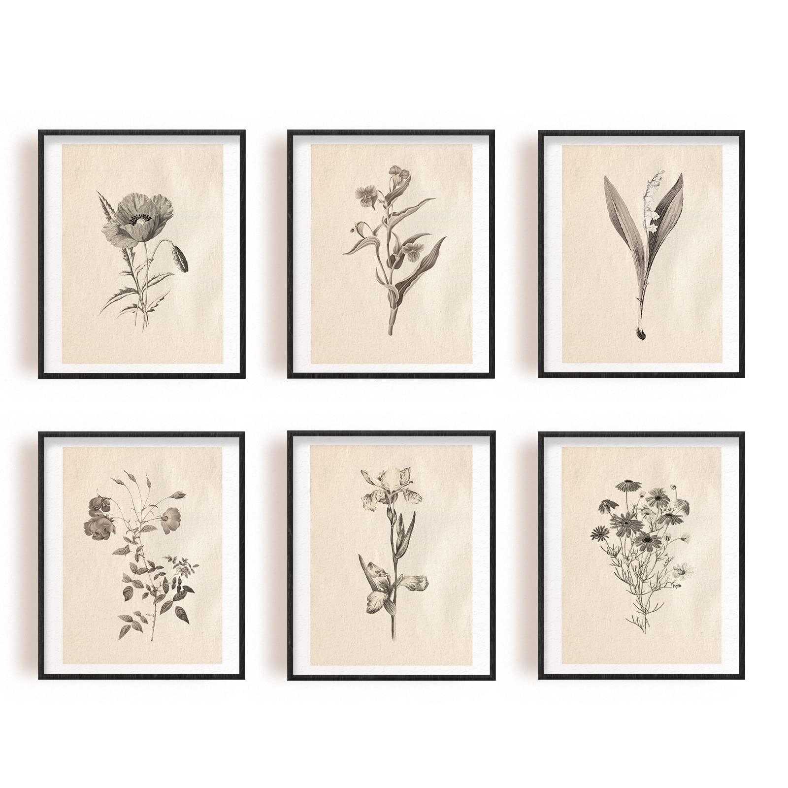 Infunly 6Pcs Botanical Wall Art Unframed Vintage Plant Prints 8X10 Boho Floral Artwork Decor For Bedroom Living Room Bathroom Ho
