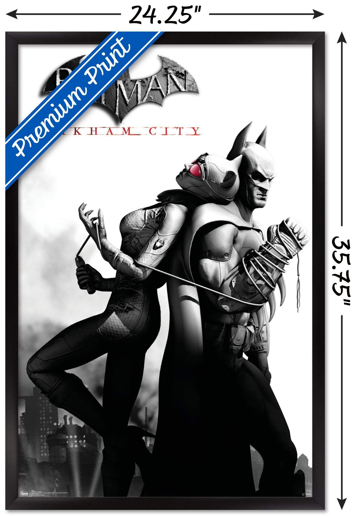 Trends International Dc Comics Video Game - Arkham City - Catwoman Wall Poster, 22.375'' X 34'', Black Framed Version