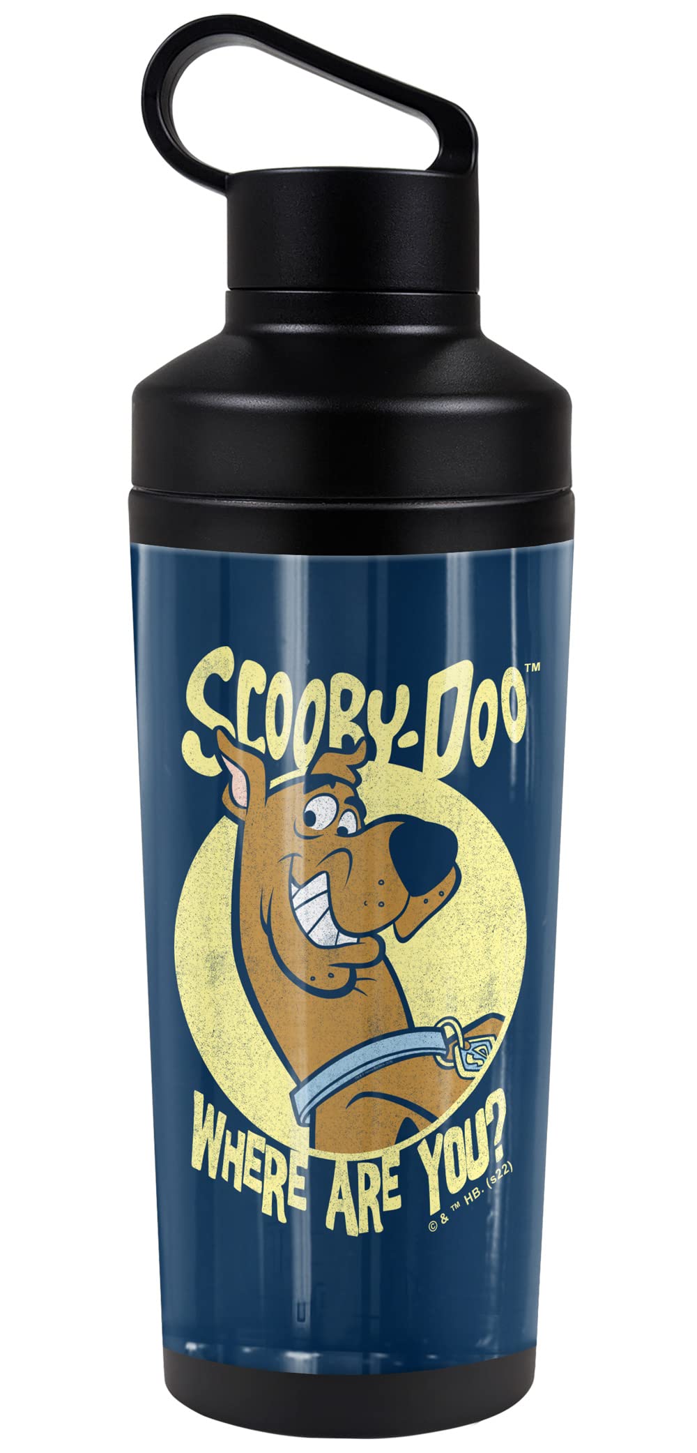 Scooby Doo! Official Where Are You 18 Oz Insulated Water Bottle, Leak Resistant, Vacuum Insulated Stainless Steel With 2-In-1 Lo