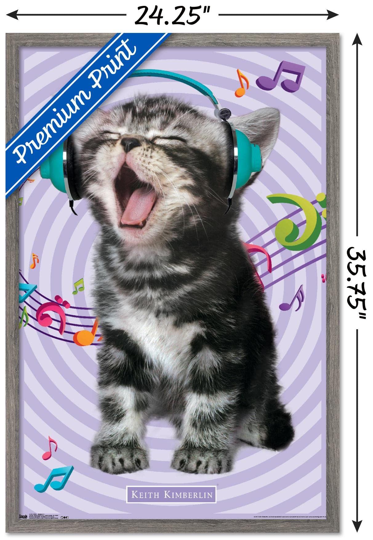 Trends International Keith Kimberlin - Kitten - Singing Wall Poster, 22.375'' X 34'', Barnwood Framed Version