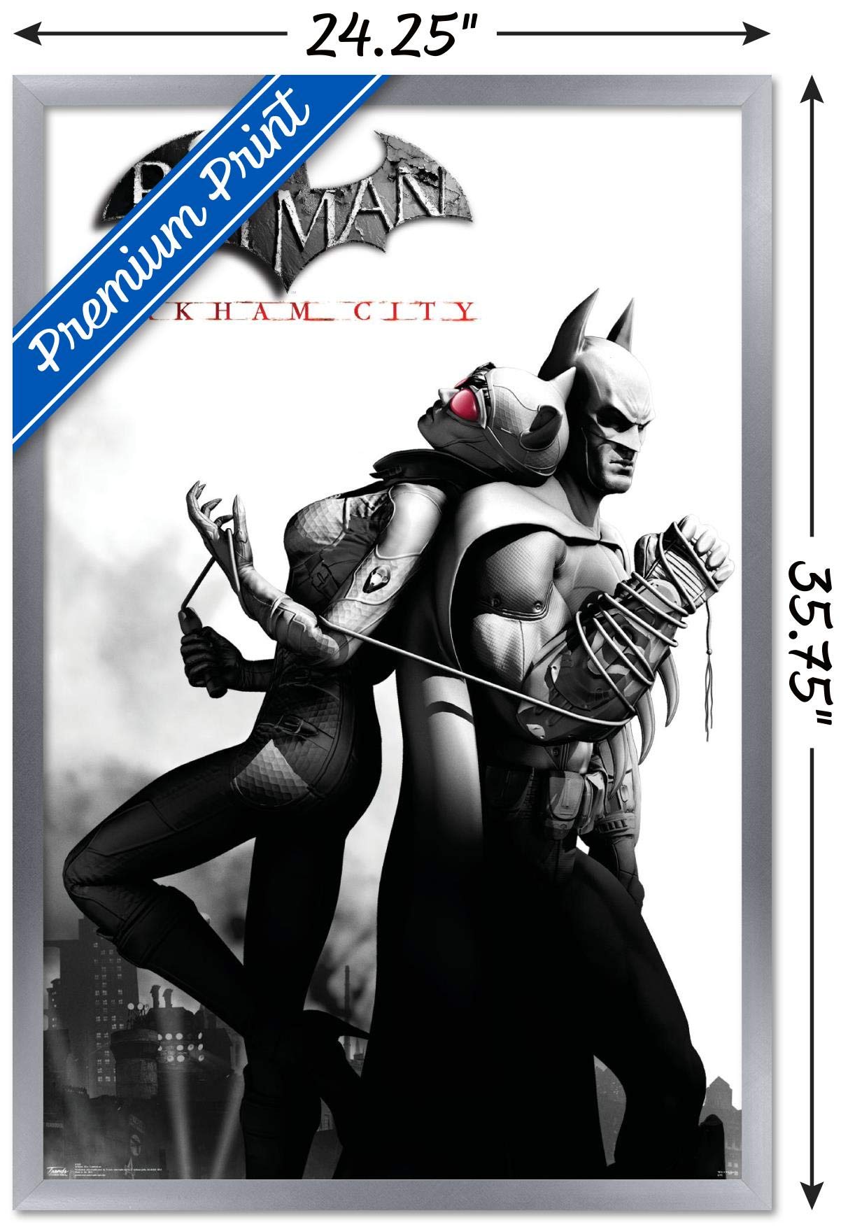 Trends International Dc Comics Video Game - Arkham City - Catwoman Wall Poster, 22.375'' X 34'', Silver Framed Version