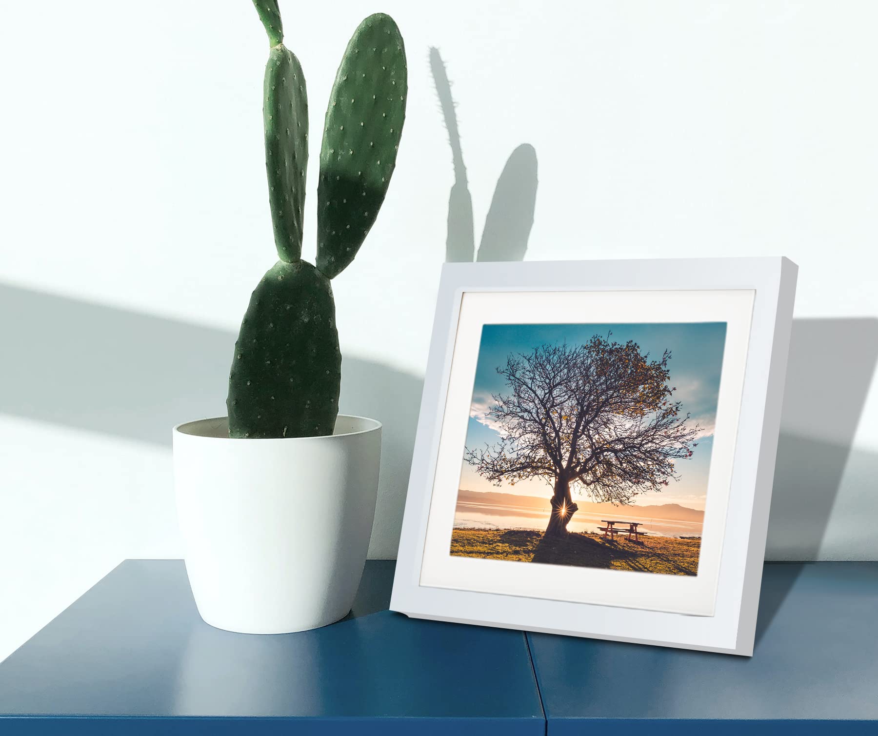 LEKAIYA 10x10 White Picture Frames Set of 2, Square Solid Wood Frame to Display 8x8 Picture with Mat or 10x10 Without Mat for Ta