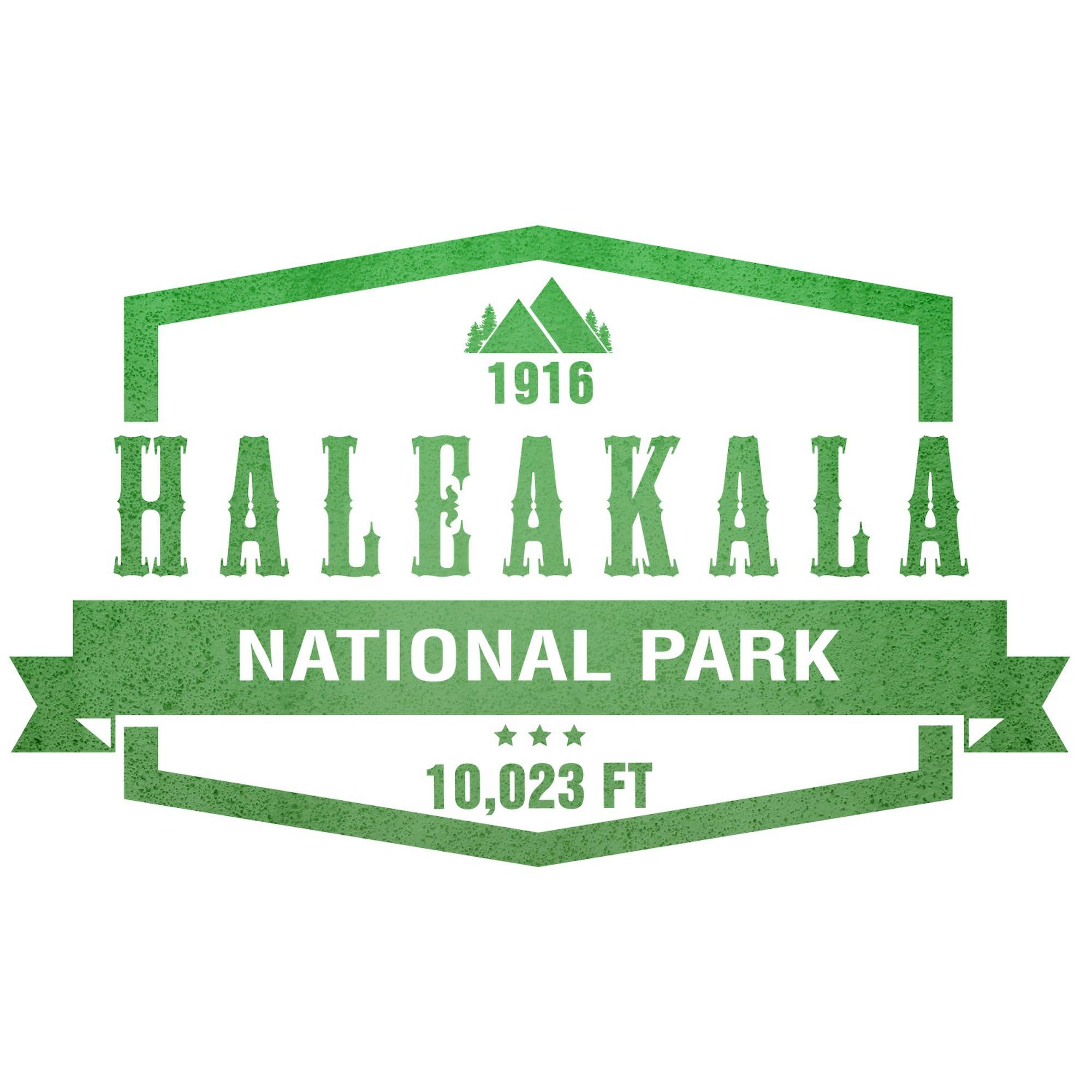 Cafepress Haleakala National Park, Hawaii Magnets Rectangle Magnet, 3''X2'' Refrigerator Magnet