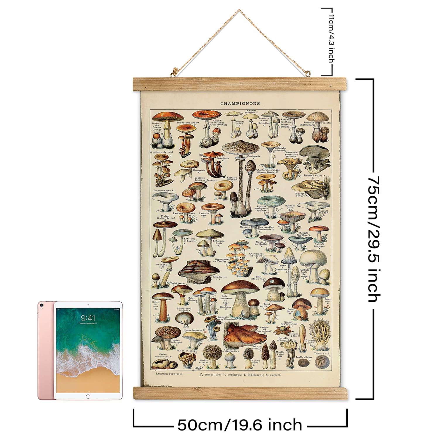 Xiaoaika Vintage Mushroom Poster With Wooden Frame - Classic Botanical Print With Variety Of Fungi Species - Retro Style Wall Ar