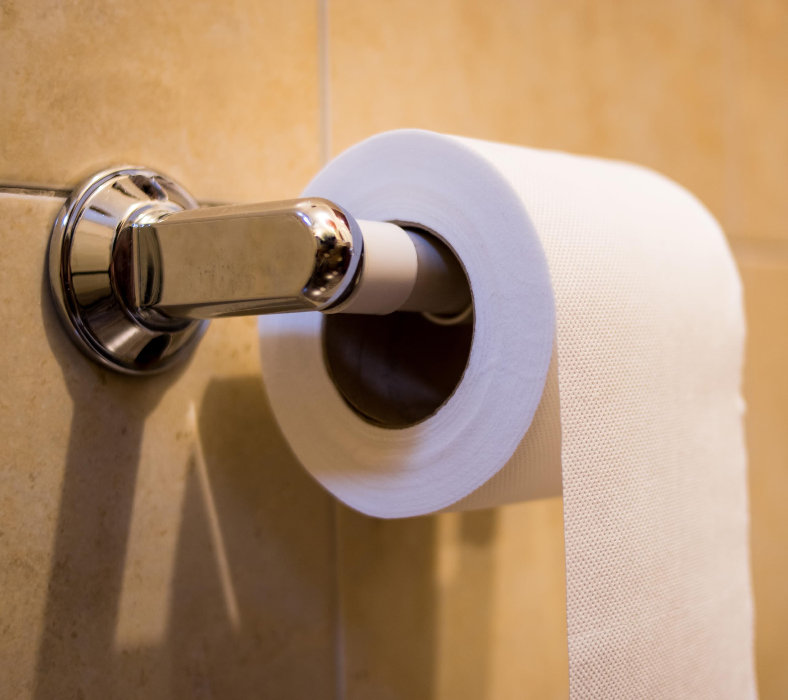 Florian Tissue Roller Tissue Stick Restroom Paper Spring Loaded Holder (1 Pcs, White), Bathroom, Restroom, Toilet, Easy Installa