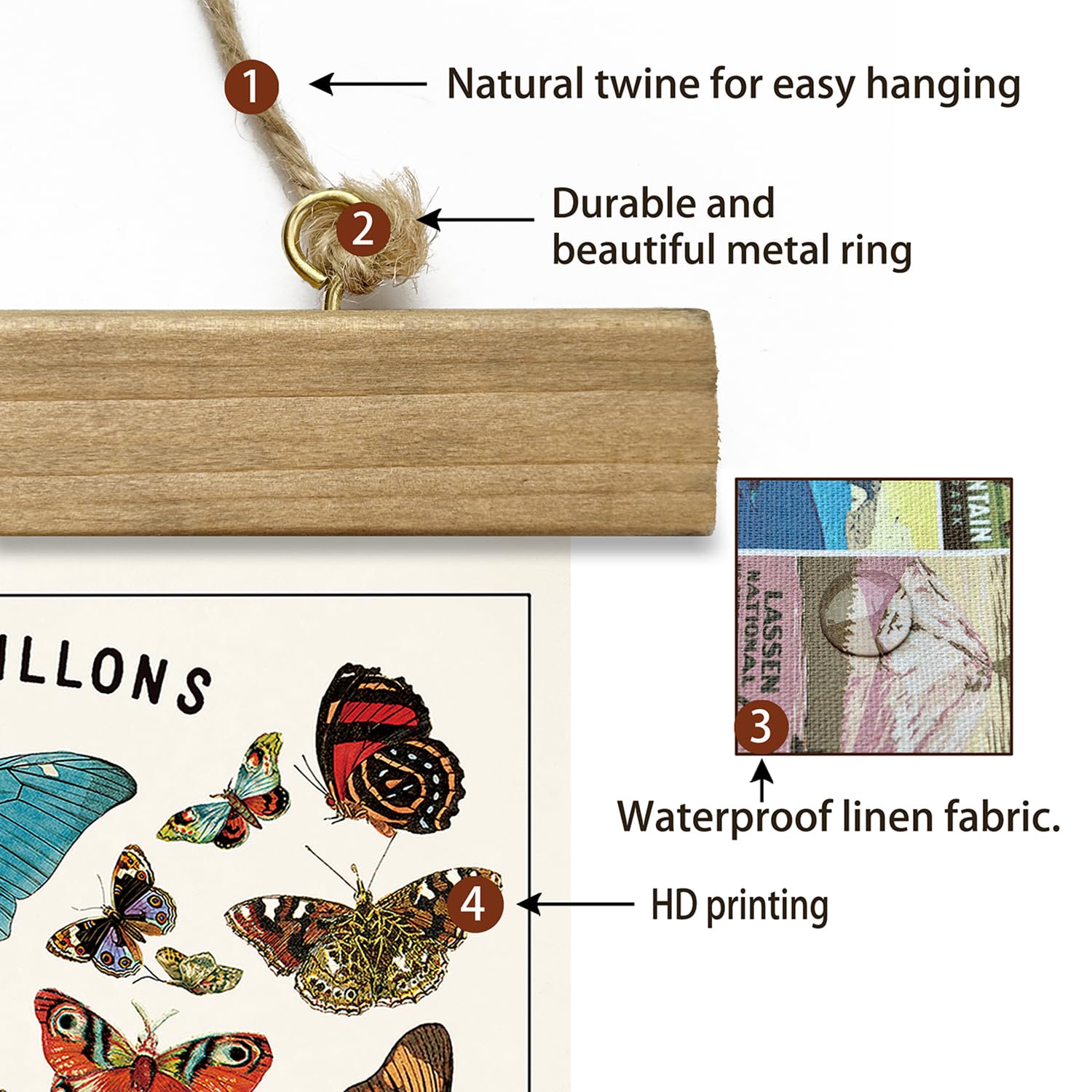 Xiaoaika Vintage Butterfly Species Poster - Illustrated Educational Chart With Wooden Frame - Entomology Wall Art For Nature Lov