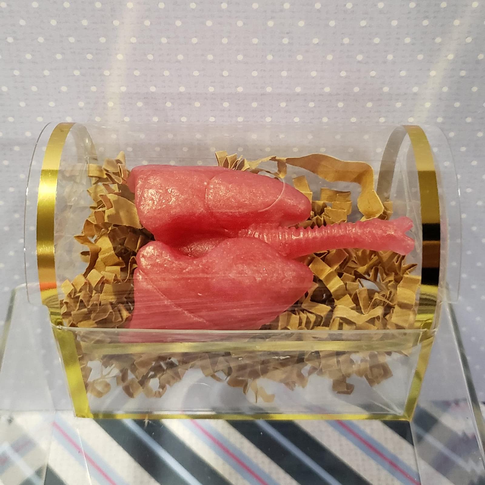 Human Organs Silicone Molds 6 Pcs, Human Organs Shape Silicone Molds Heart Brain Cake Mold Stem Stomach Intestinal Lung Kidney C
