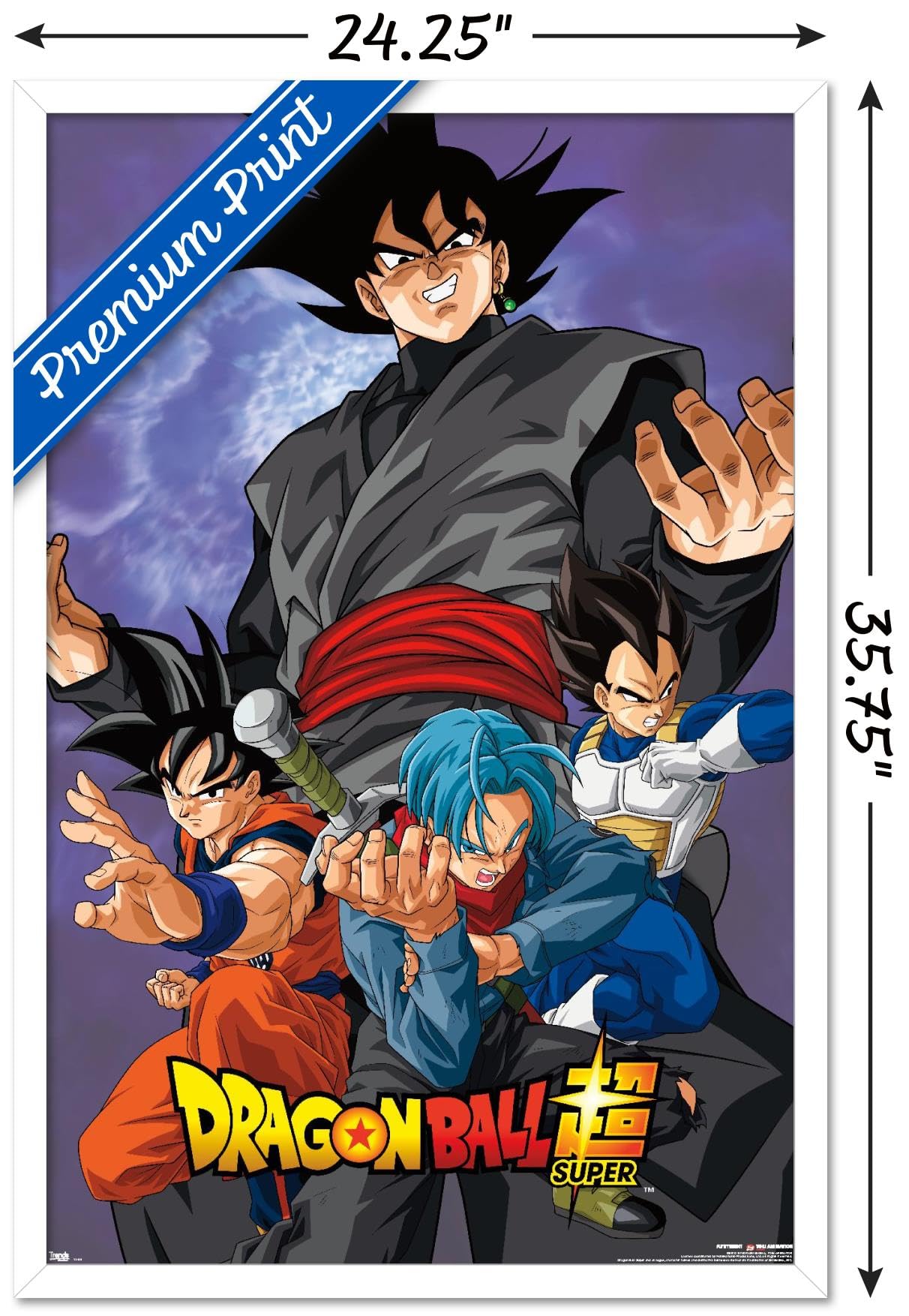 Trends International Dragon Ball: Super - Villain Wall Poster, 22.375'' X 34'', White Framed Version