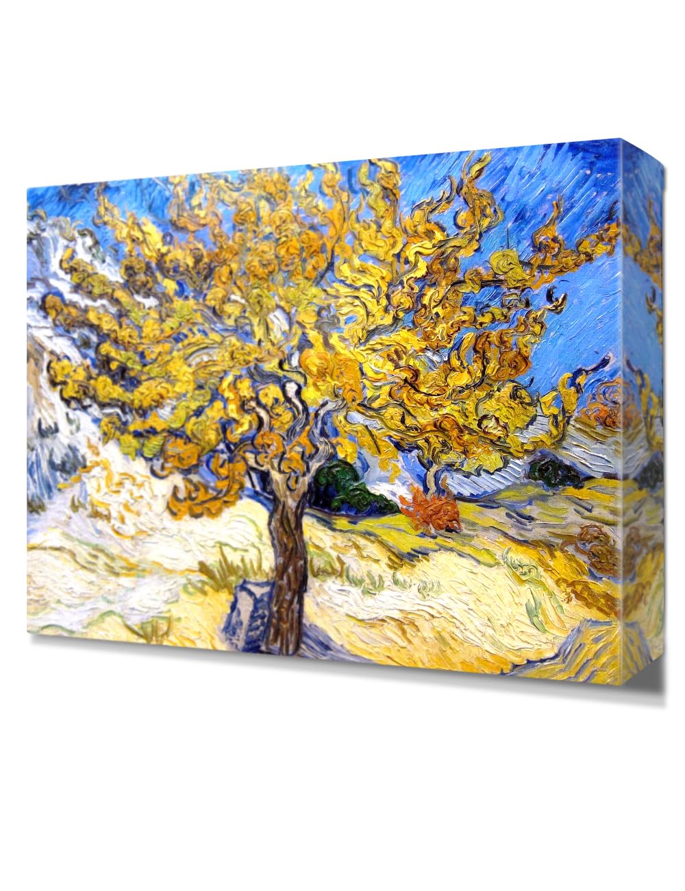 Decorarts - The Mulberry Tree, Vincent Van Gogh Reproductions. Oversize Giclee Canvas Print Wall Art For Home Wall Decor. 40 X30