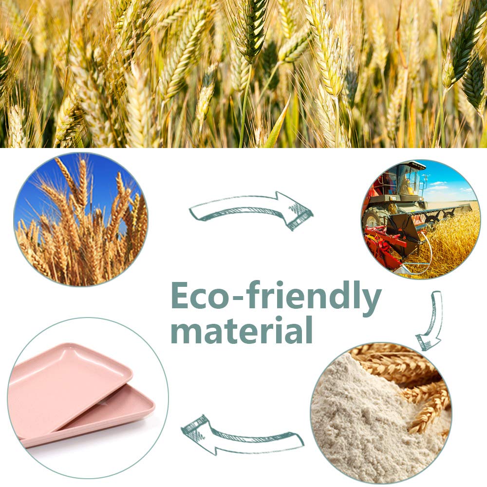 Roucerlin 4 Pack Unbreakable Wheat Straw Plates, Dishwasher Safe Durable Lightweight Cake Plate, Small Reusable Snack Plate For