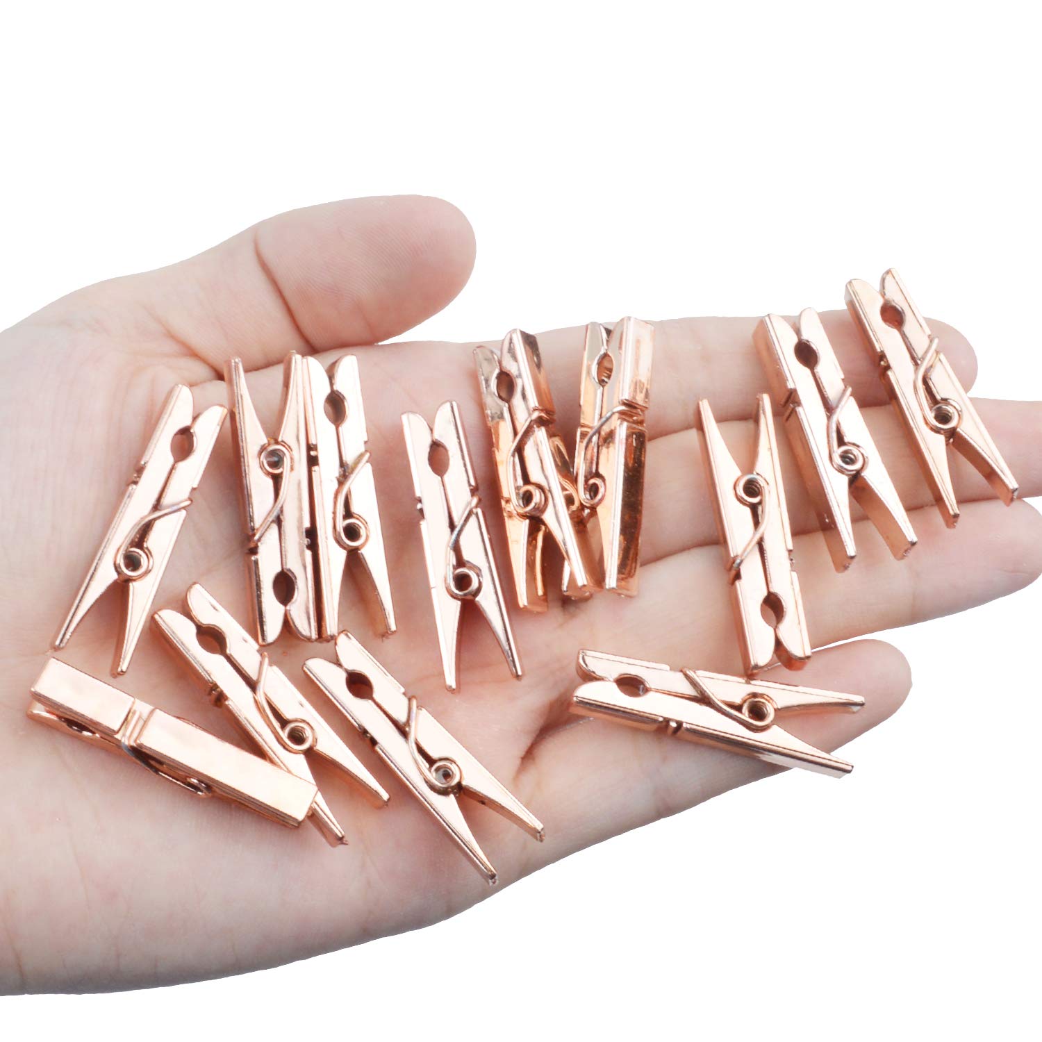 Jdesun 50 Pieces Photo Clips Mini Plastic Picture Paper Clip Clothespins Peg for Office Home Arts(Rose Gold)