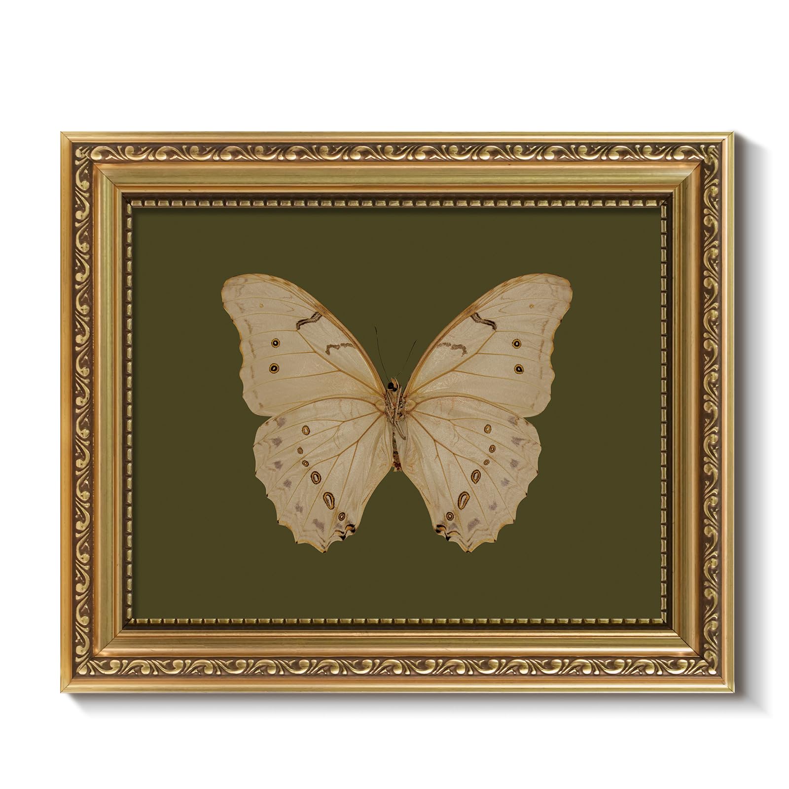 ARPEOTCY Vintage Gold Framed Wall Art, Classical White Butterfly Paintings, 8x10 inch Small Moody Green Canvas Prints with Antiq