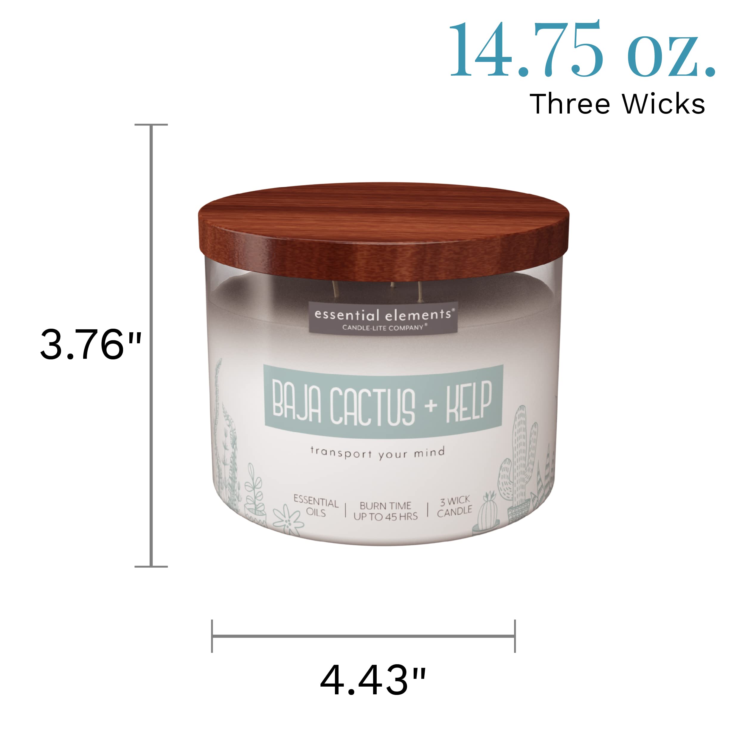 Essential Elements by Candle-lite Scented Candles, Baja Cactus & Kelp Fragrance, One 14.75 oz. Three-Wick Aromatherapy Candle wi