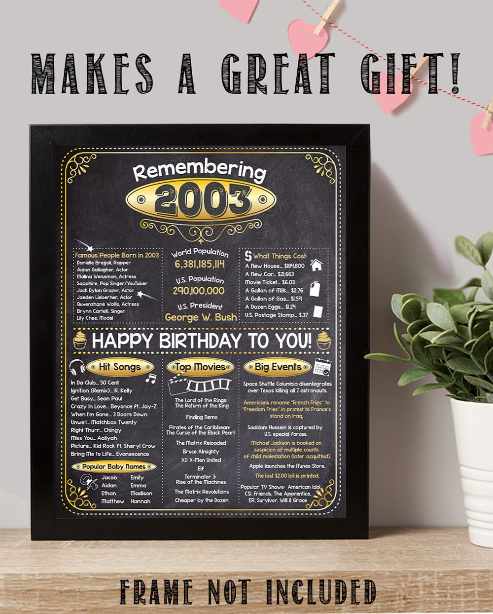 20th Birthday Party Decorations for 20th Birthday (Twenty) - Remembering The Year 2003 - Party Supplies - Gifts for Men and Women Turning 20 - Back In 2003 Birthday Card 11x14 Unframed Print