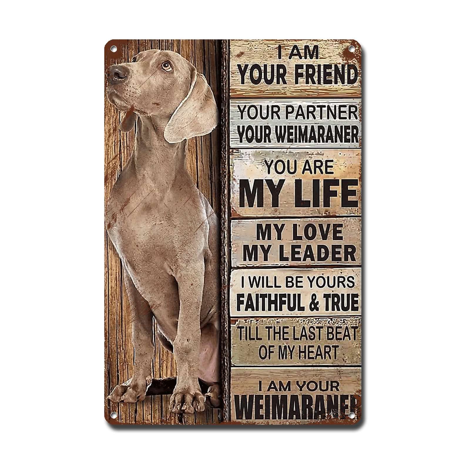 Ymyoo Metal Sign Tin Sign Vintage Wall Art I Am Your Friend Gift For Weimaraner Lovers Vintage Wall Art Prints Garden Tin Signs