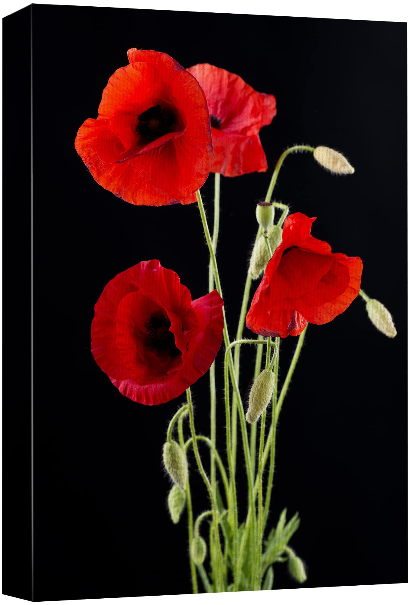 Wall26 Canvas Print Wall Art Red Poppy Bouquet On Dark Background Floral Botanical Photography Modern Art Rustic Scenic Relax/Ca